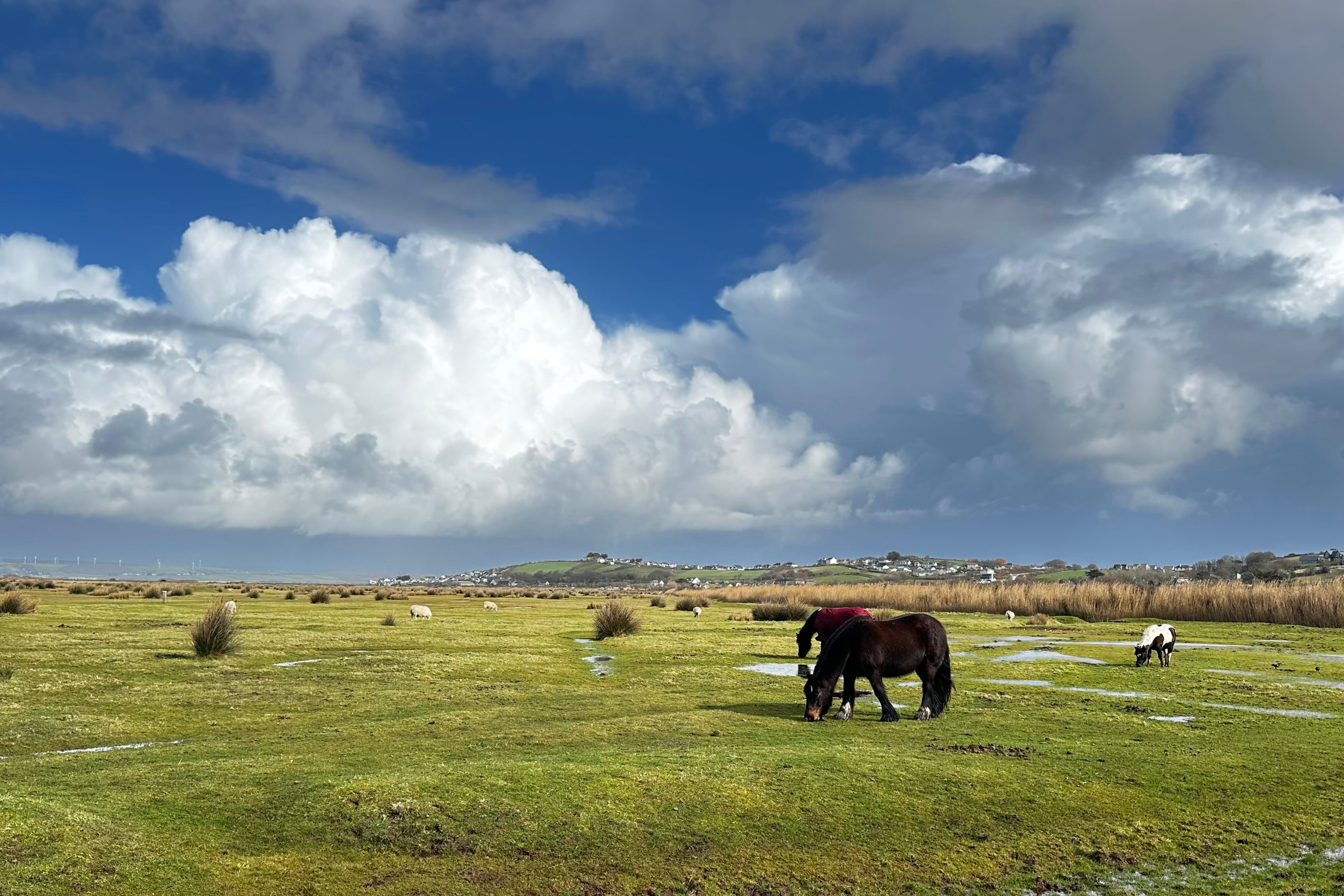Пейзажи. Фотограф Таня Уорд Бидефорд Пермь Эксетер Плимут Лондон