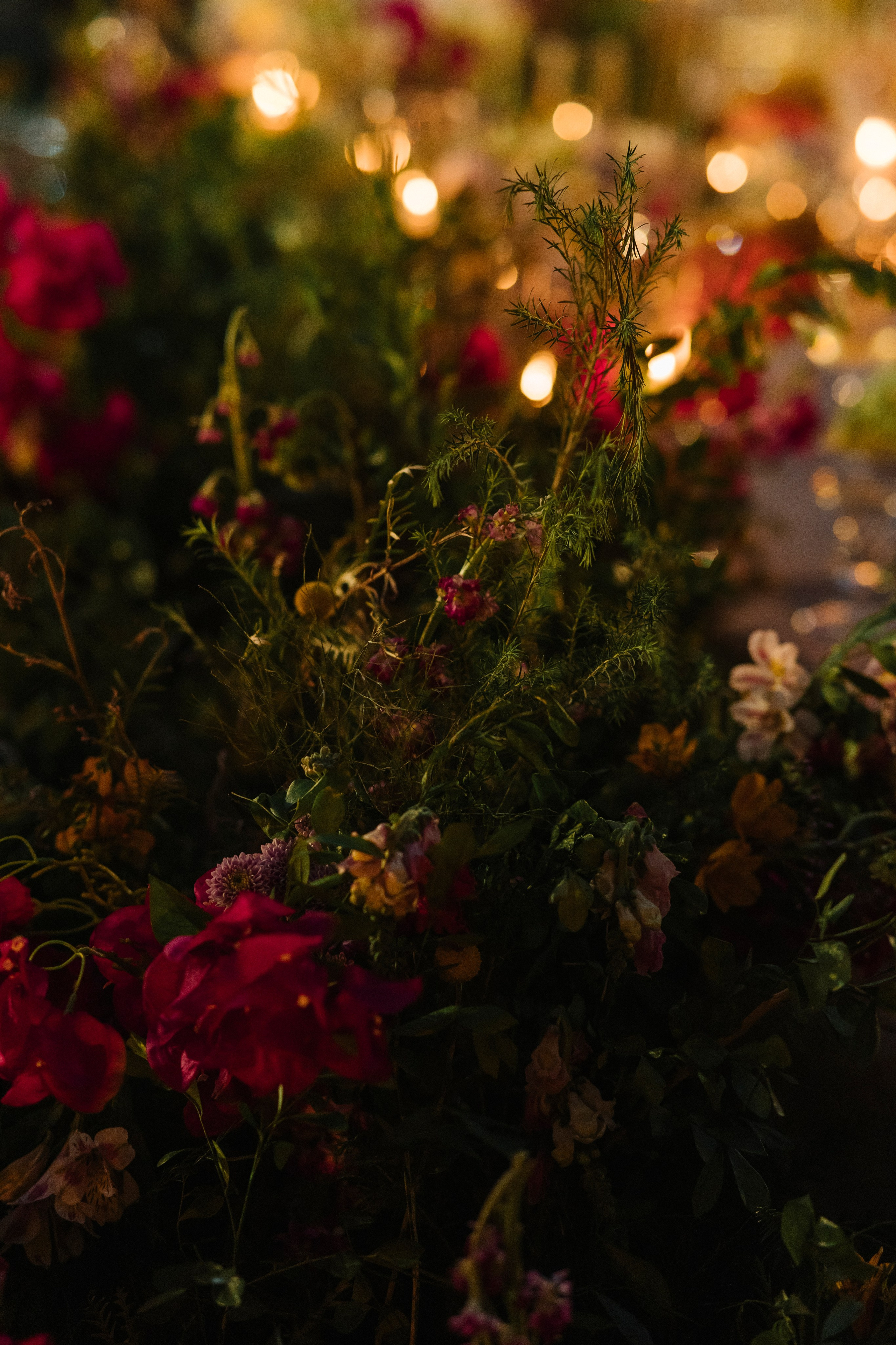 Tizate Sea Garden. Wedding photographer Mexico Sayulita Puerto Vallarta Punta Mita Cabo