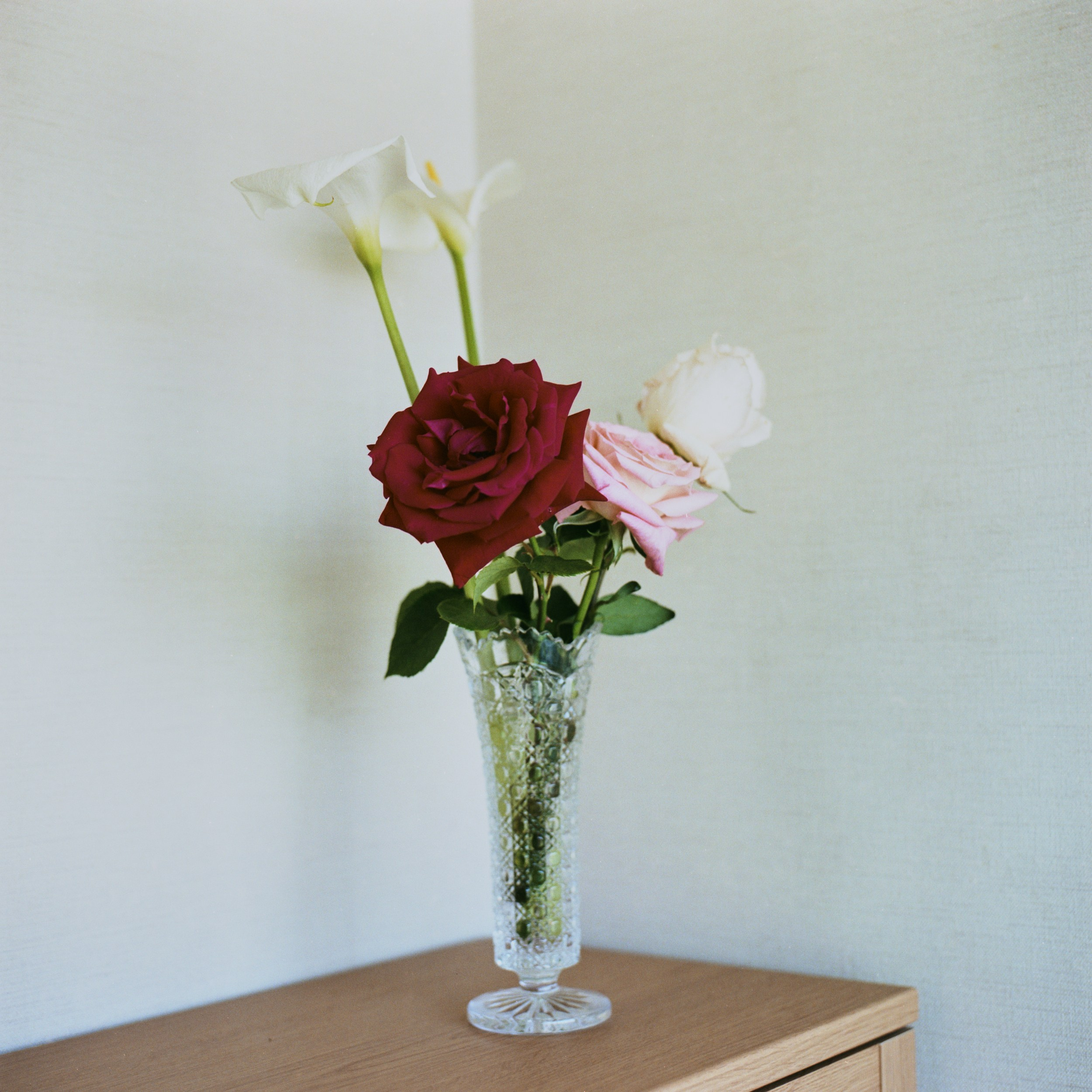 祖母とのヴァナキュラー. MT