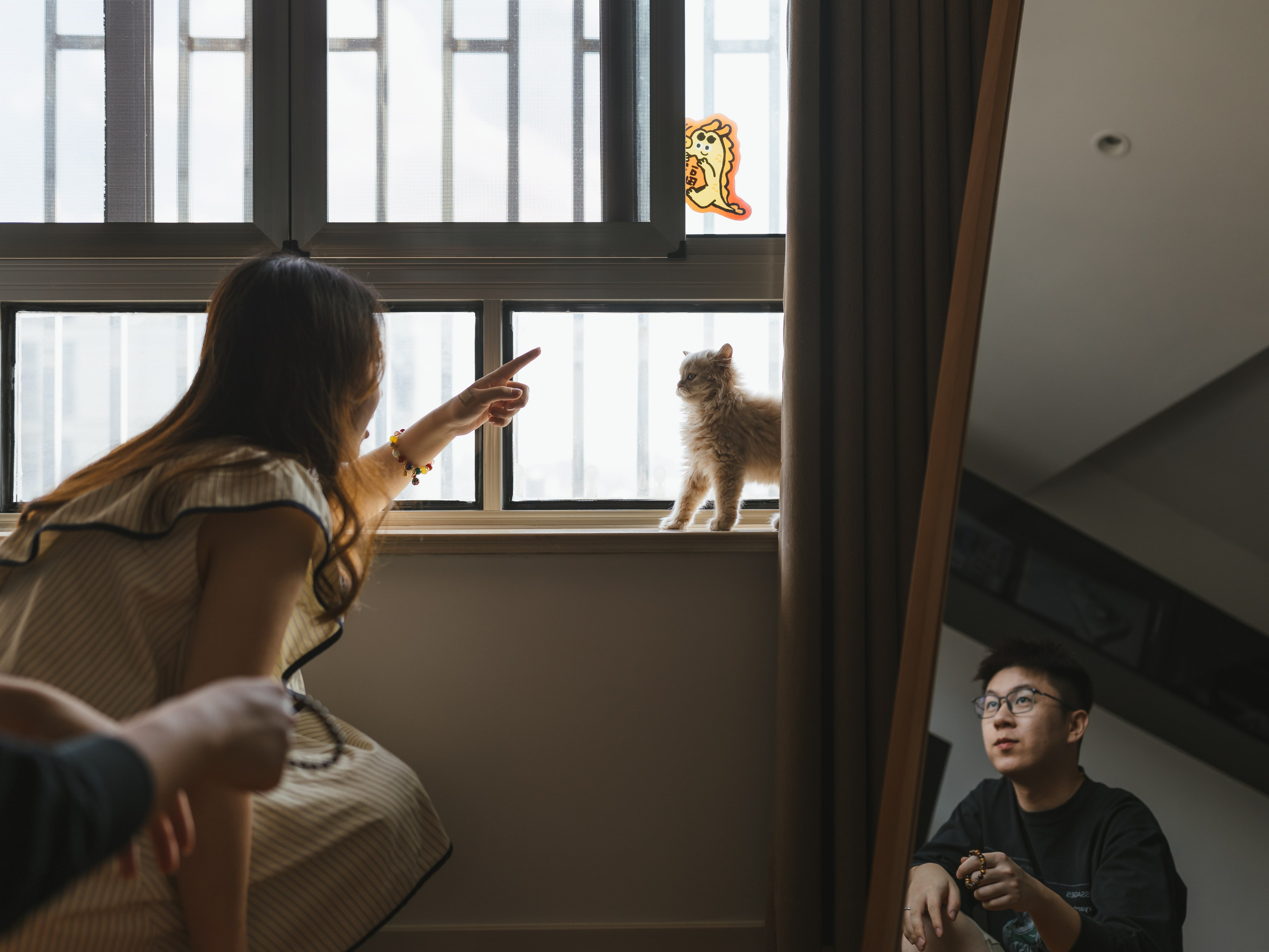 Photos of pets. Shanghai Family Photographer Dora