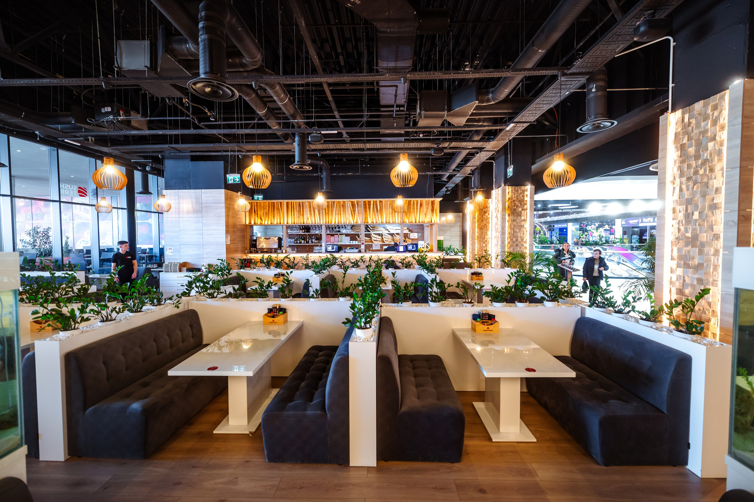 Sushi Terra. Marius Ciocan