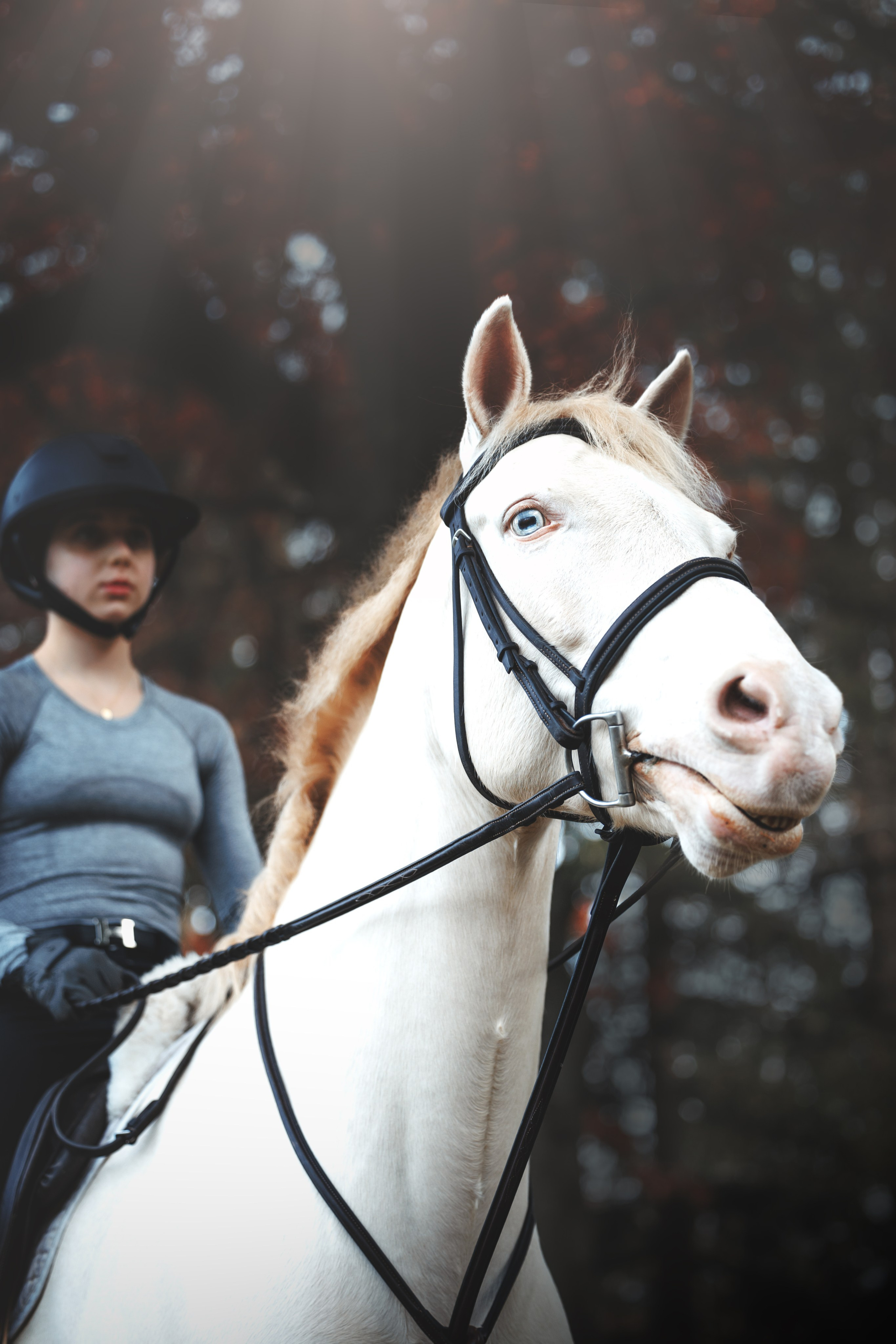 Mel & Christina. Pet Photographer Viktoriya Aleshenko