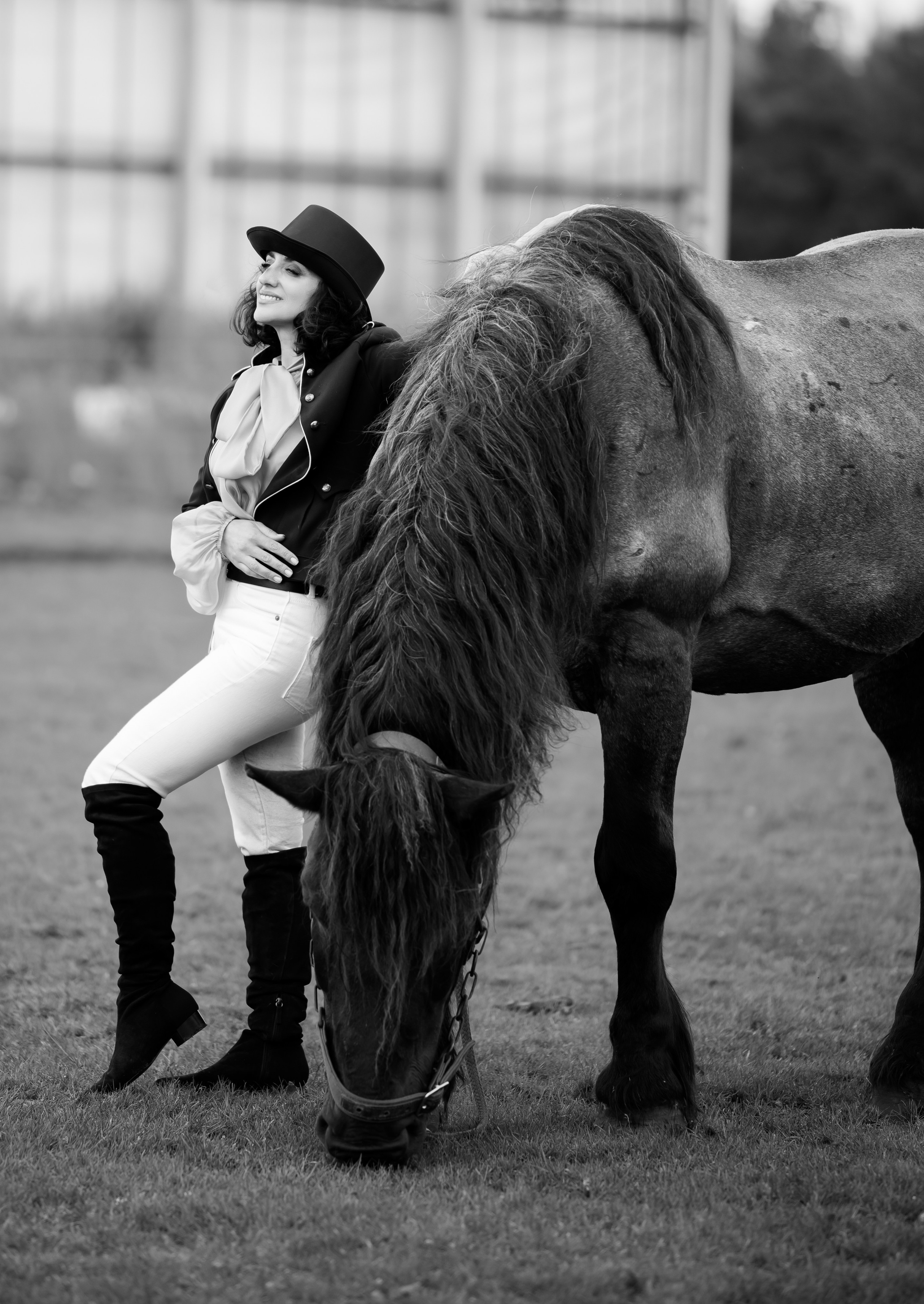 Photoshoot with Horses. Professional Photograher, Antwerpen/Belgium