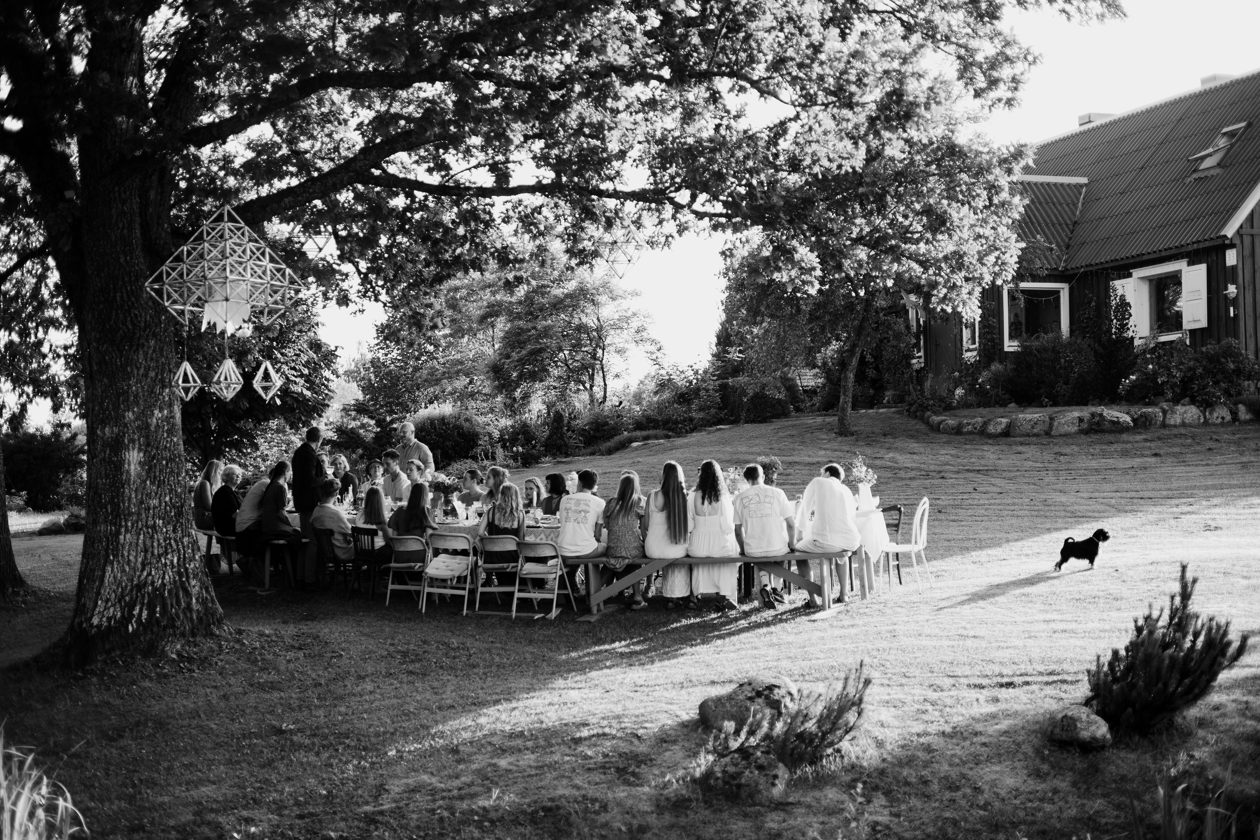 Vasara sode. Портретный фотограф Александра Самозванова