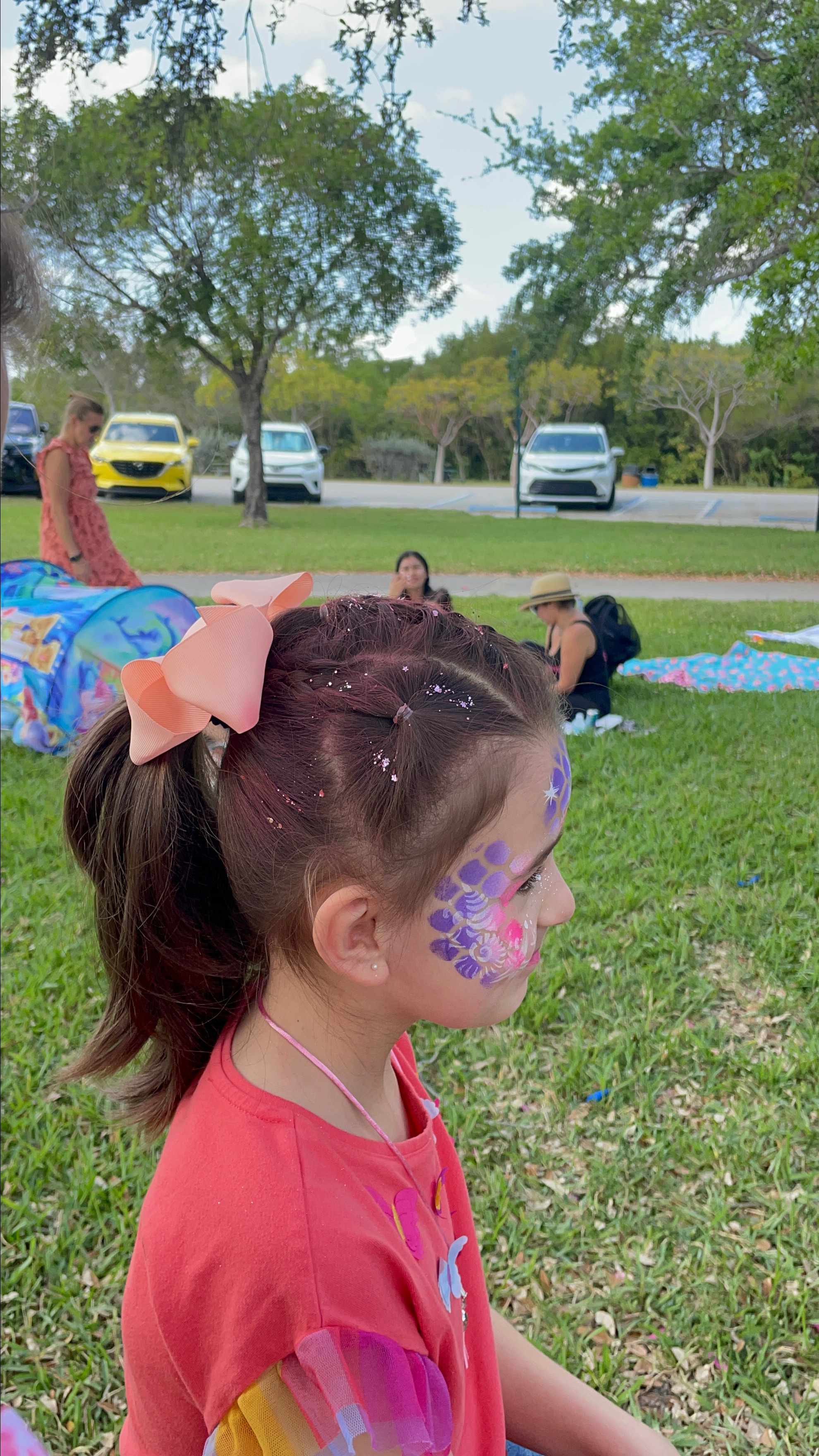 Hair braiding. Color Boom