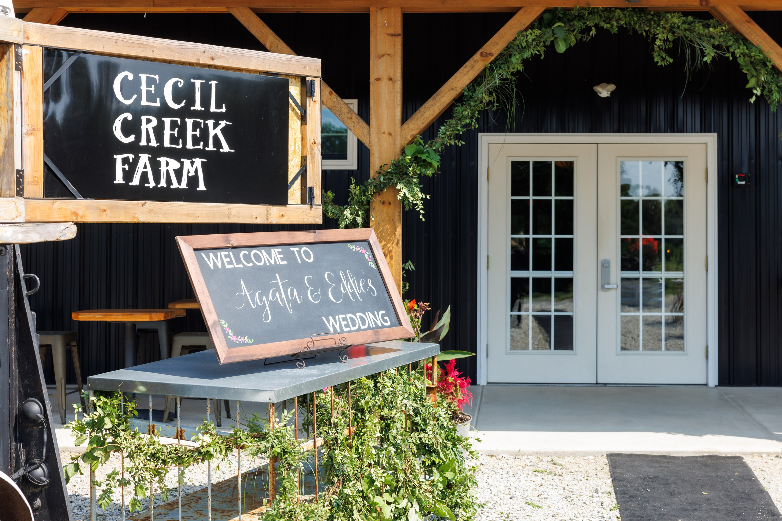 Agata & Eddie. Wedding Photo & Video