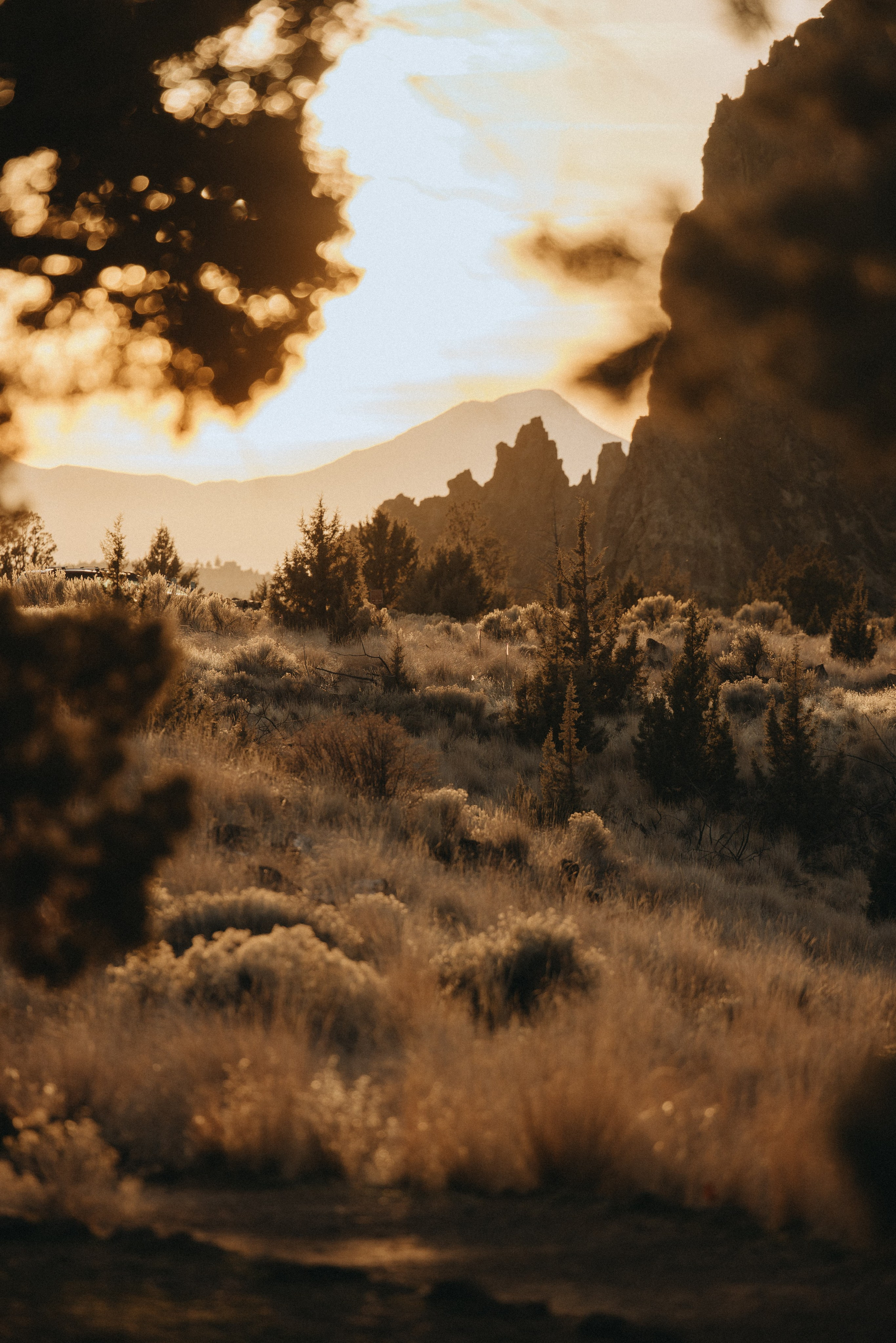 Shelby & Riley Engagement Session | Smith Rock State Park, Oregon. Portland & Seattle Wedding, Elopement & Engagement Photographer | Georgy Shishkin