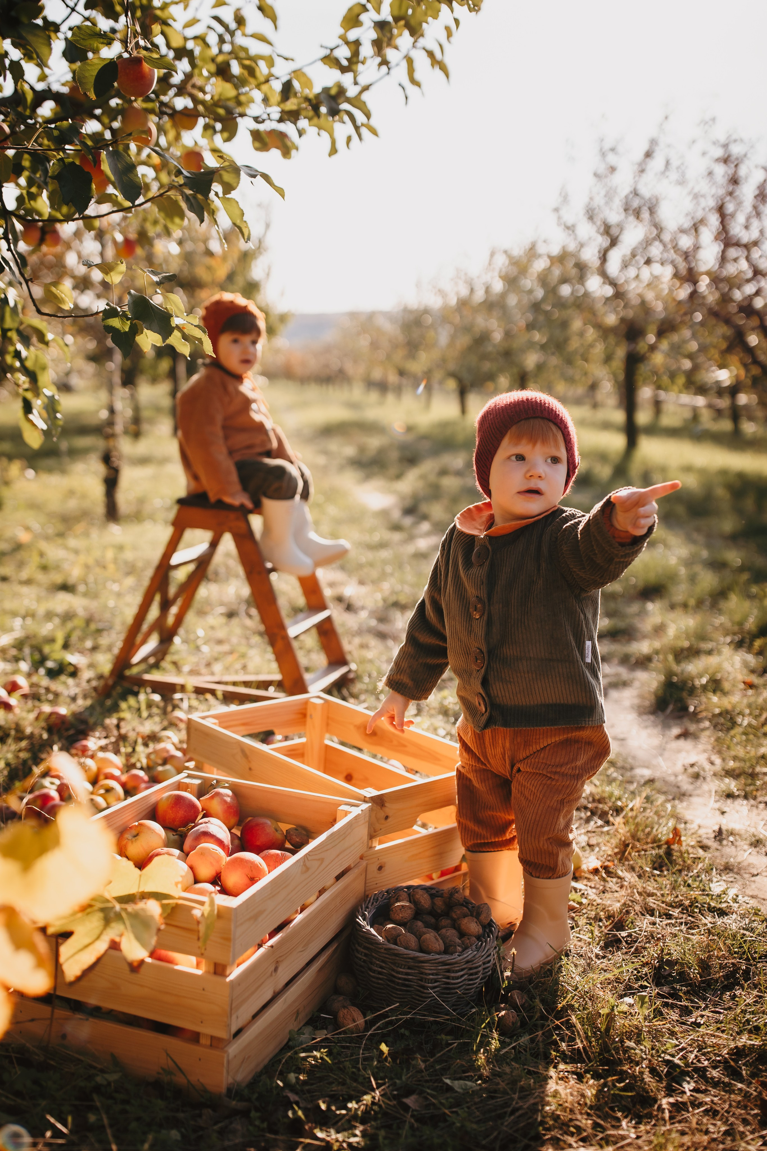 Toamna in livada. Fotograf de eveniment din Buzău | Bogdan