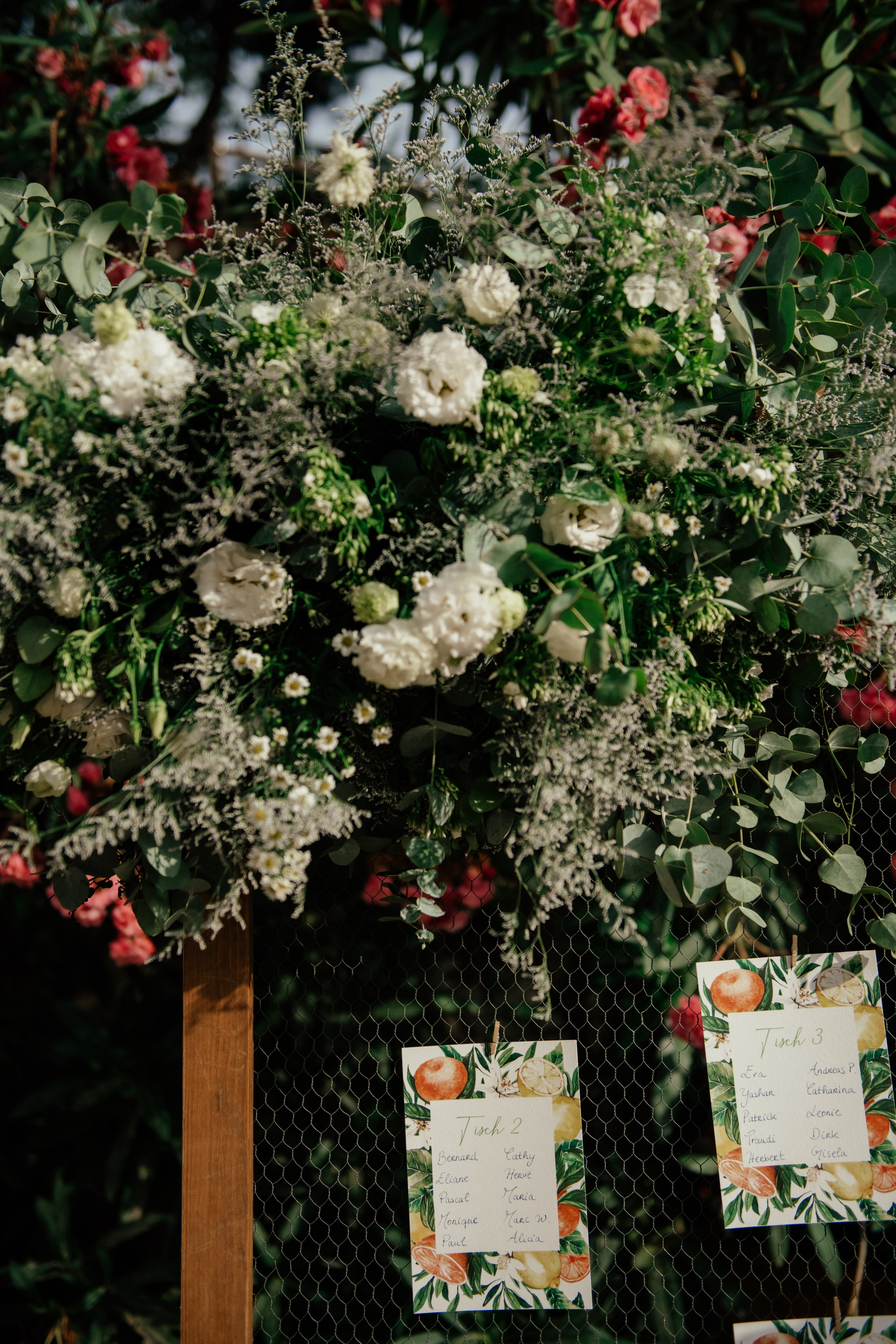 Alicia & Marc (Finca Marques de Montemolar)