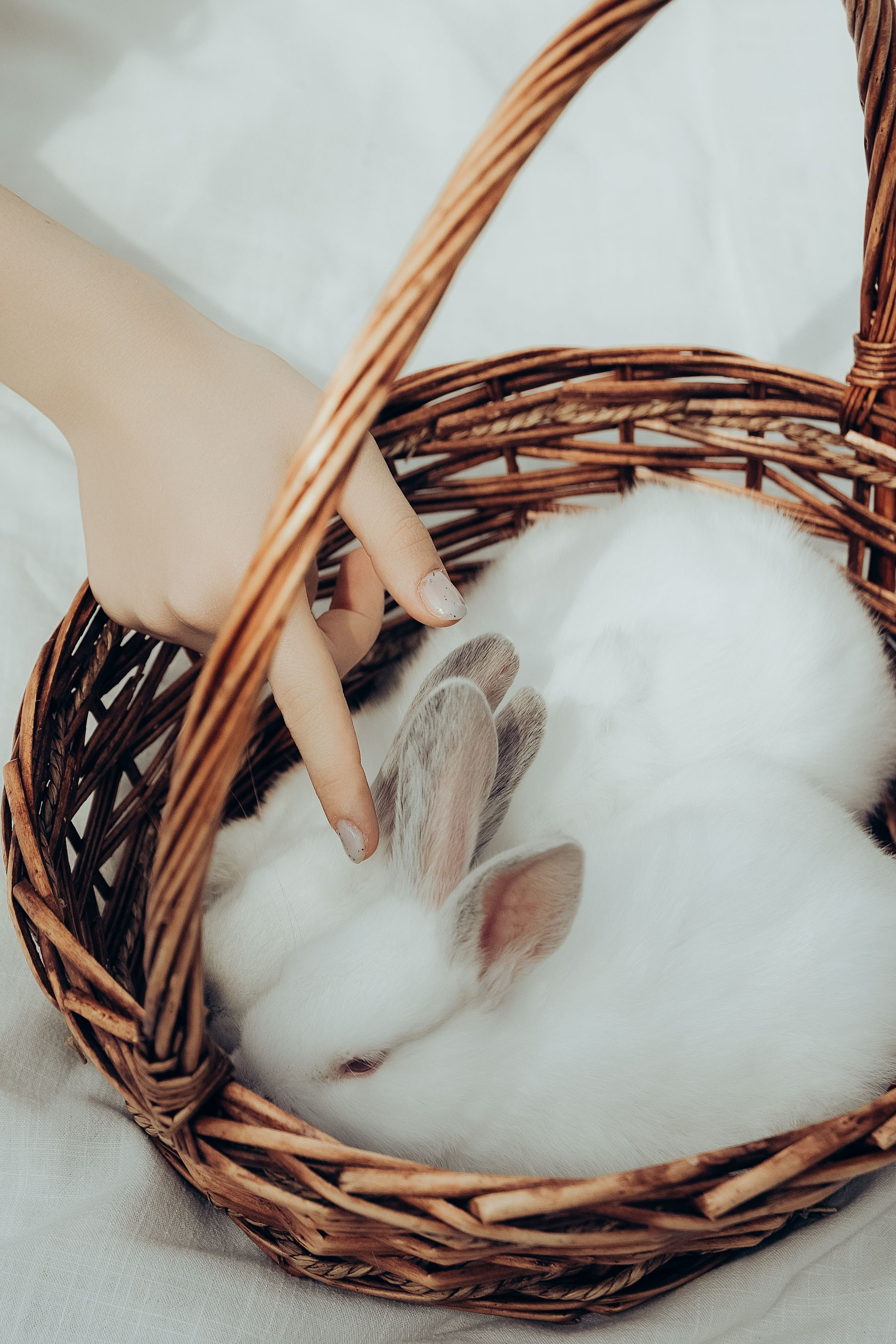 Fabiana. Ana Iacob | Fotograf de Nunta Iași