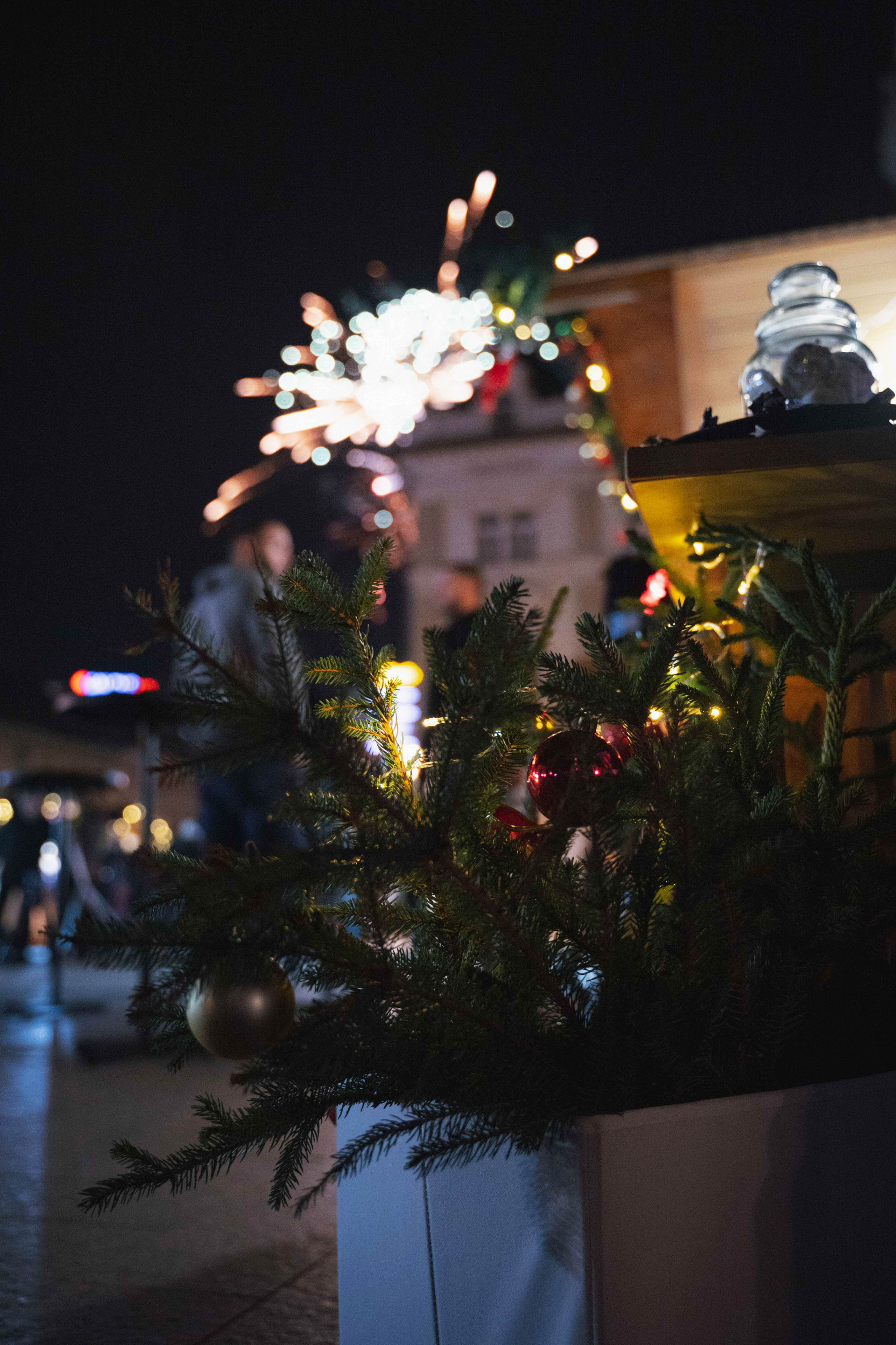 Novosadski Zimzolend. Жуков Студио