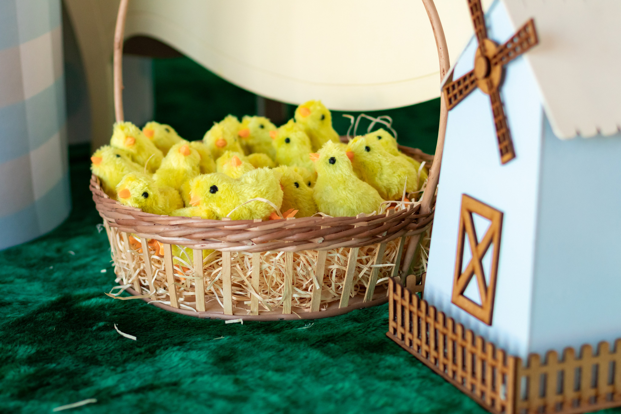 Matteo — Aniversário 2 anos. Principal