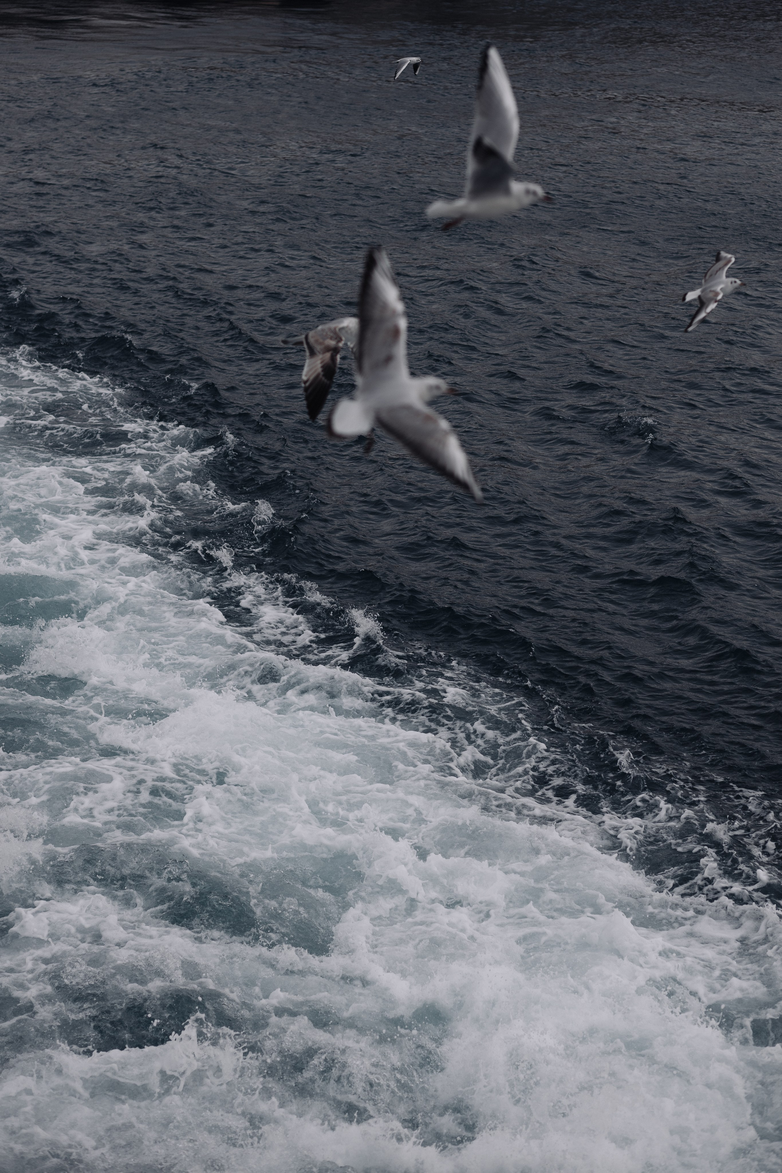 Стамбул. Фотопрогулки в Стамбуле