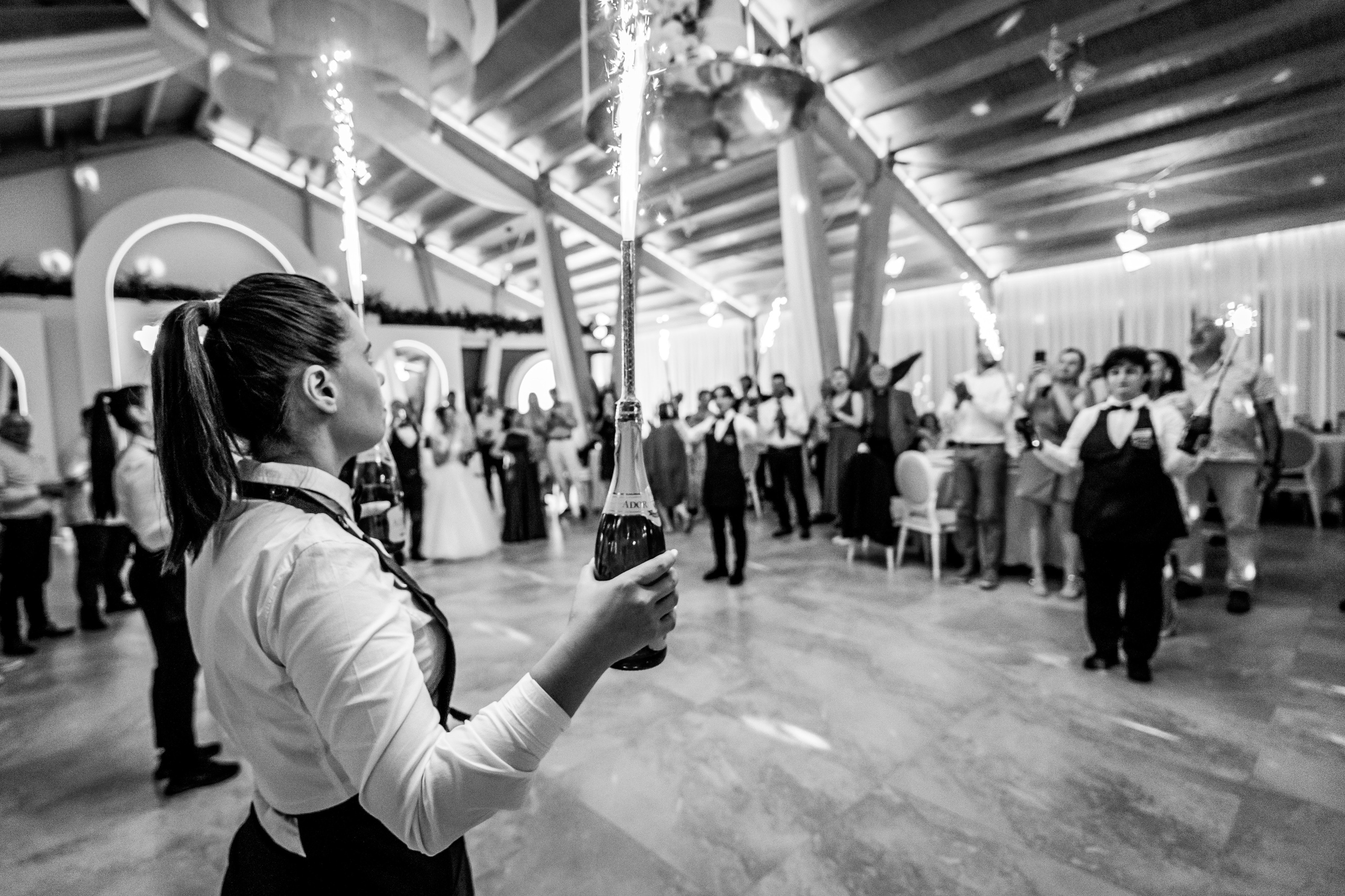 Alina & Alex. Cosmin Virlan - Fotograf de eveniment din Târgoviște