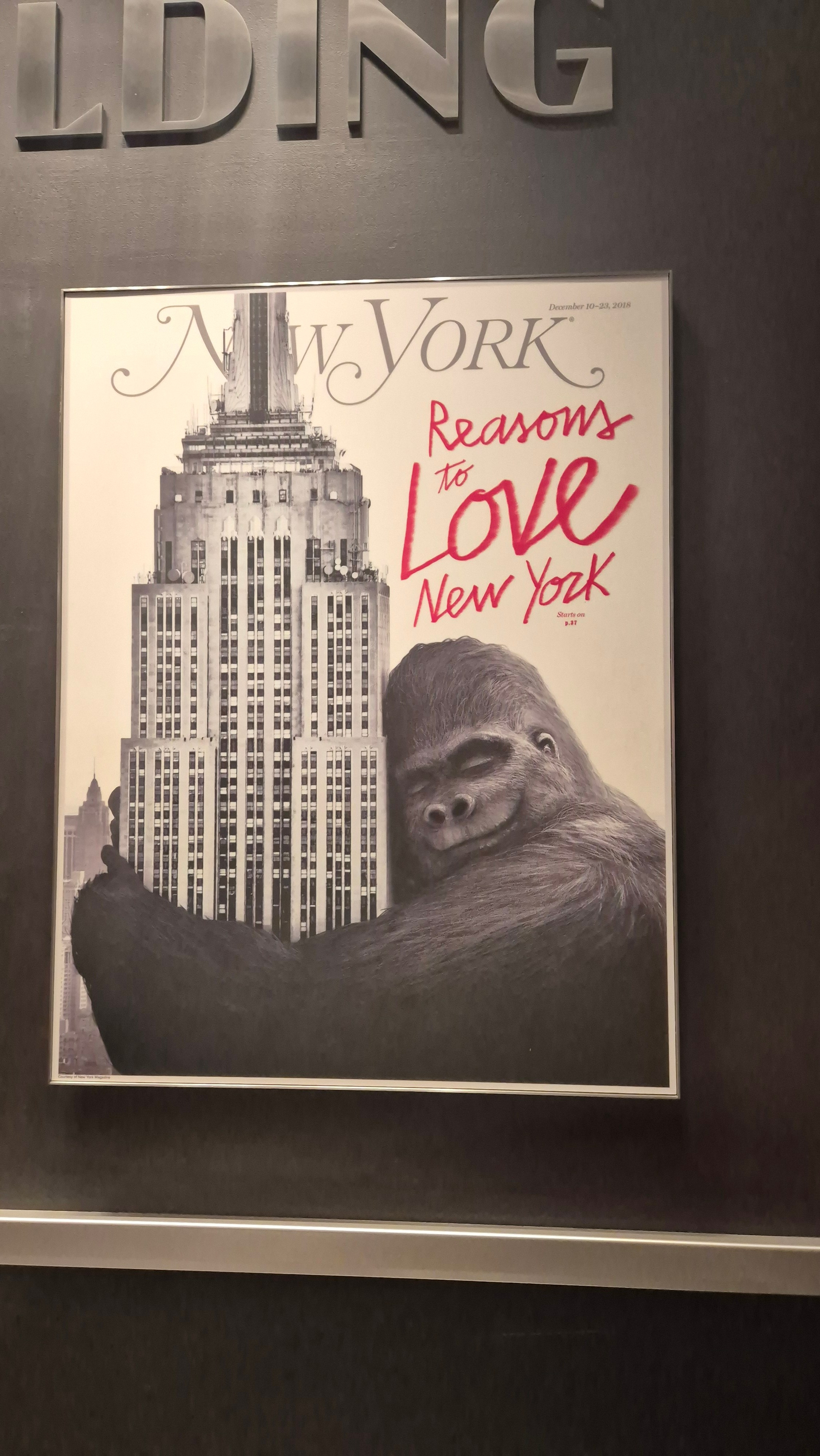 New York 2026. Photographer Marina, city of Nuremberg