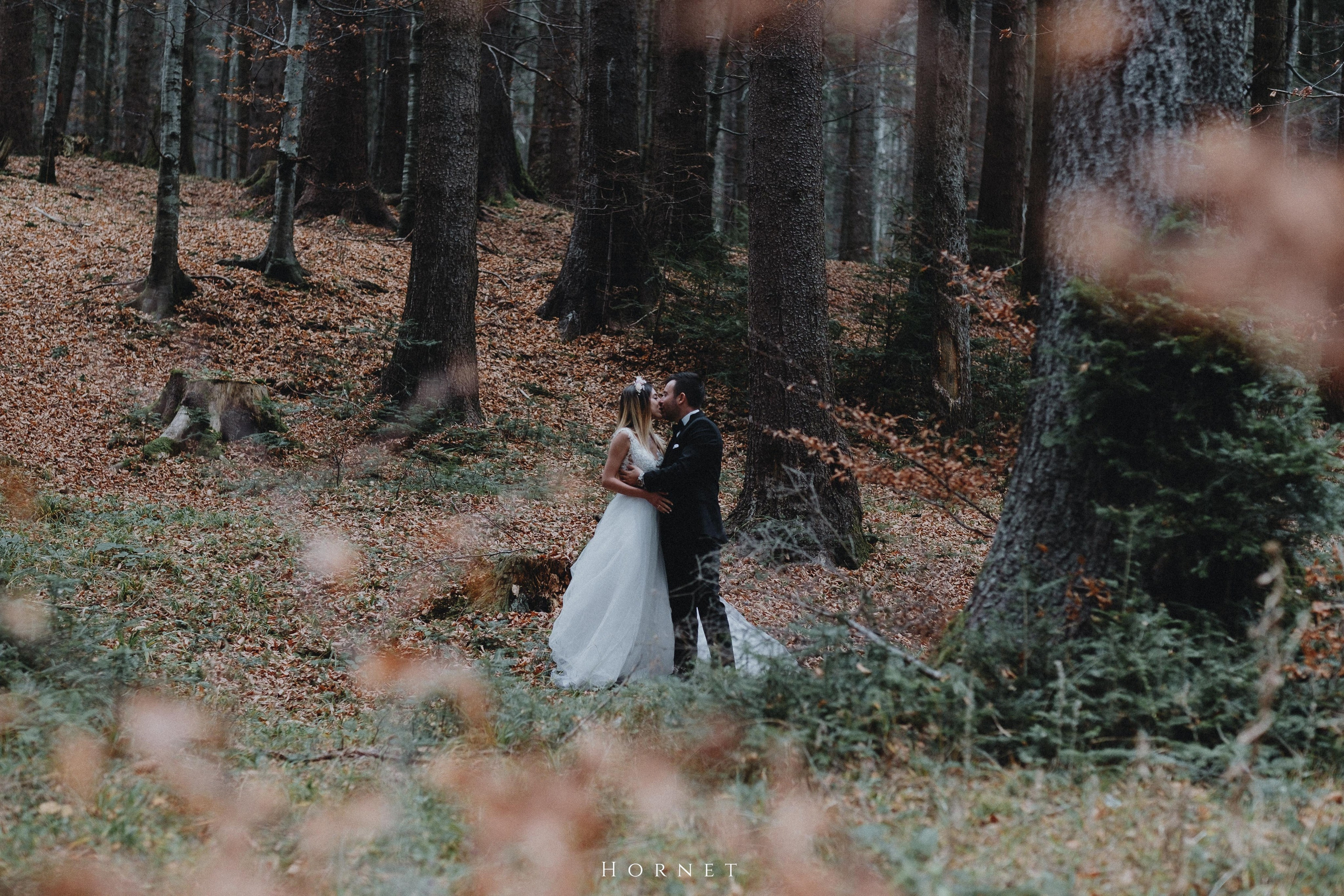 Petronela + Ionut. Hornetart
