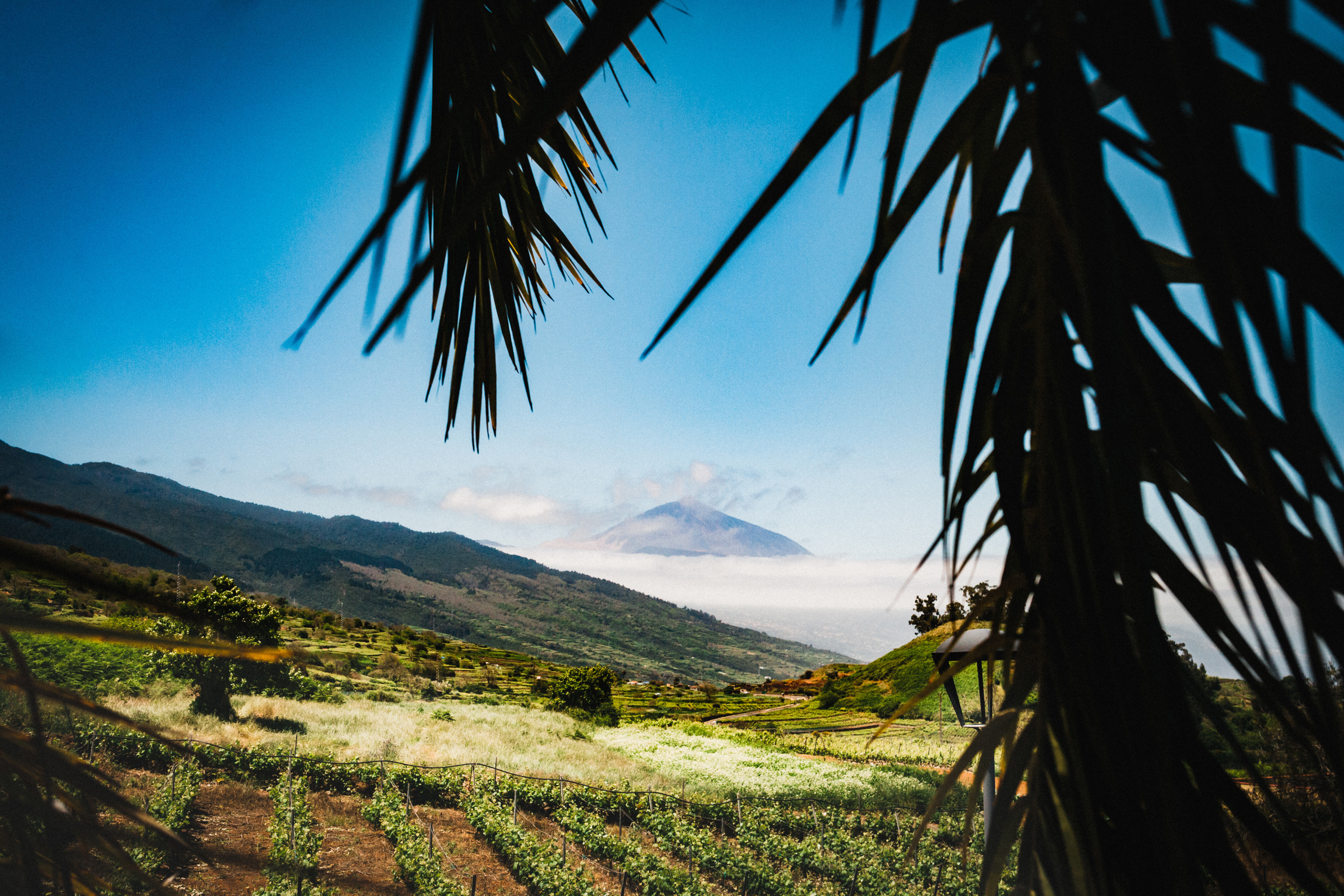 Wedding photoshoot Tenerife. Photographer Tenerife Edgar Zubarev