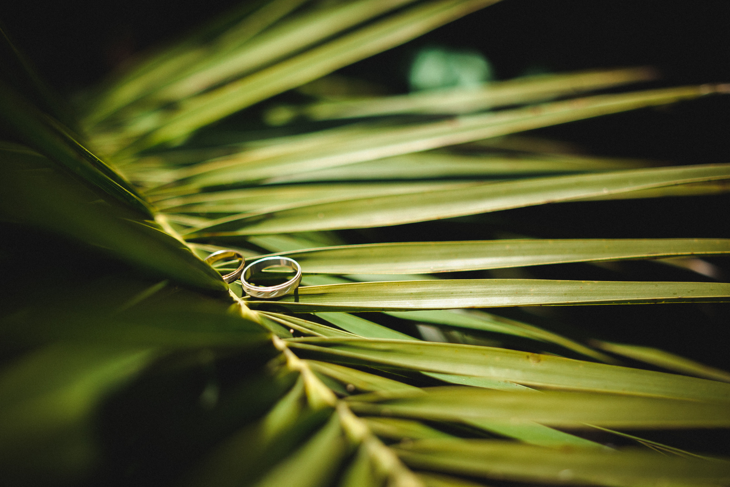 Wedding photoshoot Tenerife. Photographer Tenerife Edgar Zubarev