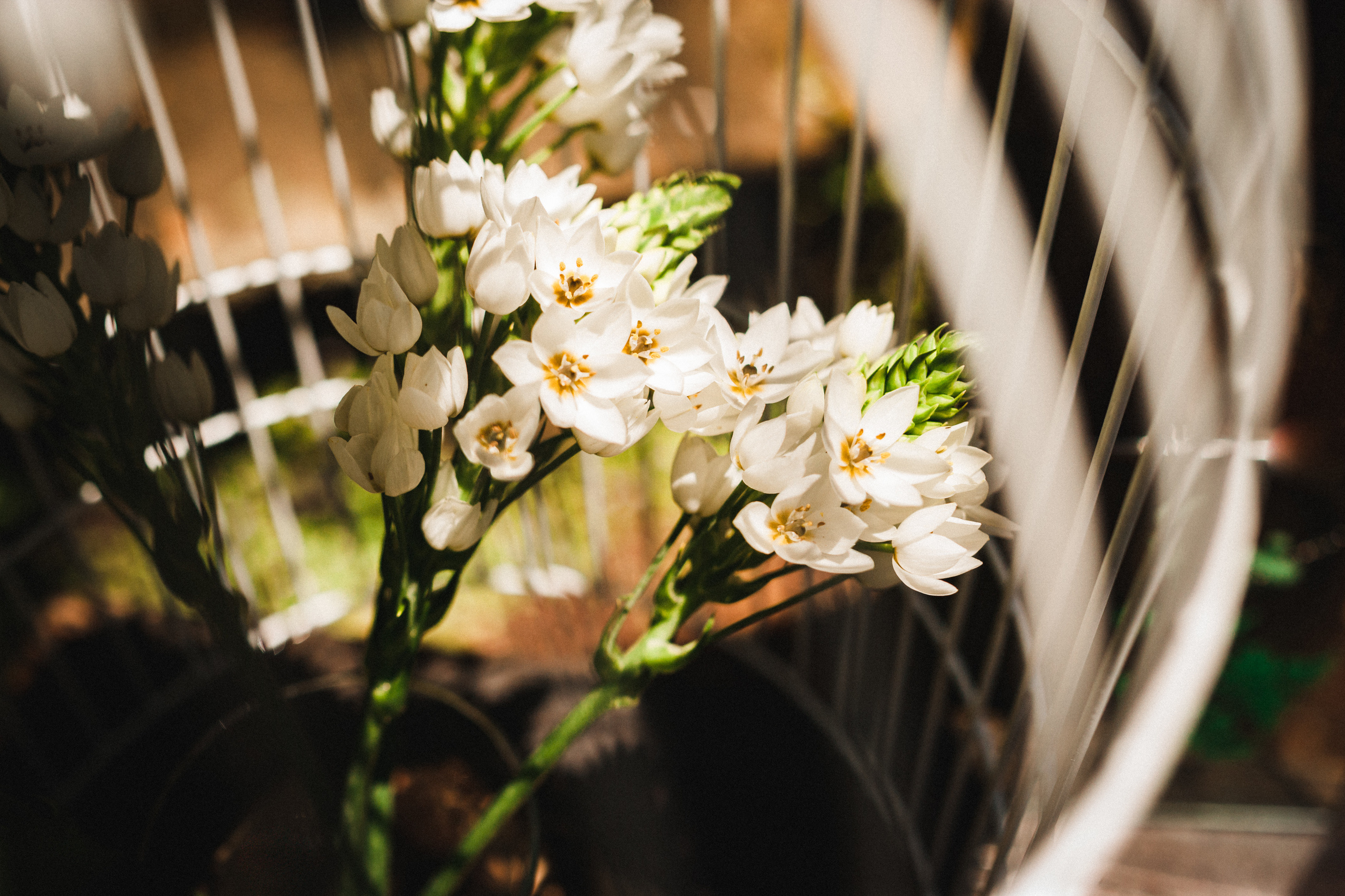Wedding photoshoot Tenerife. Photographer Tenerife Edgar Zubarev