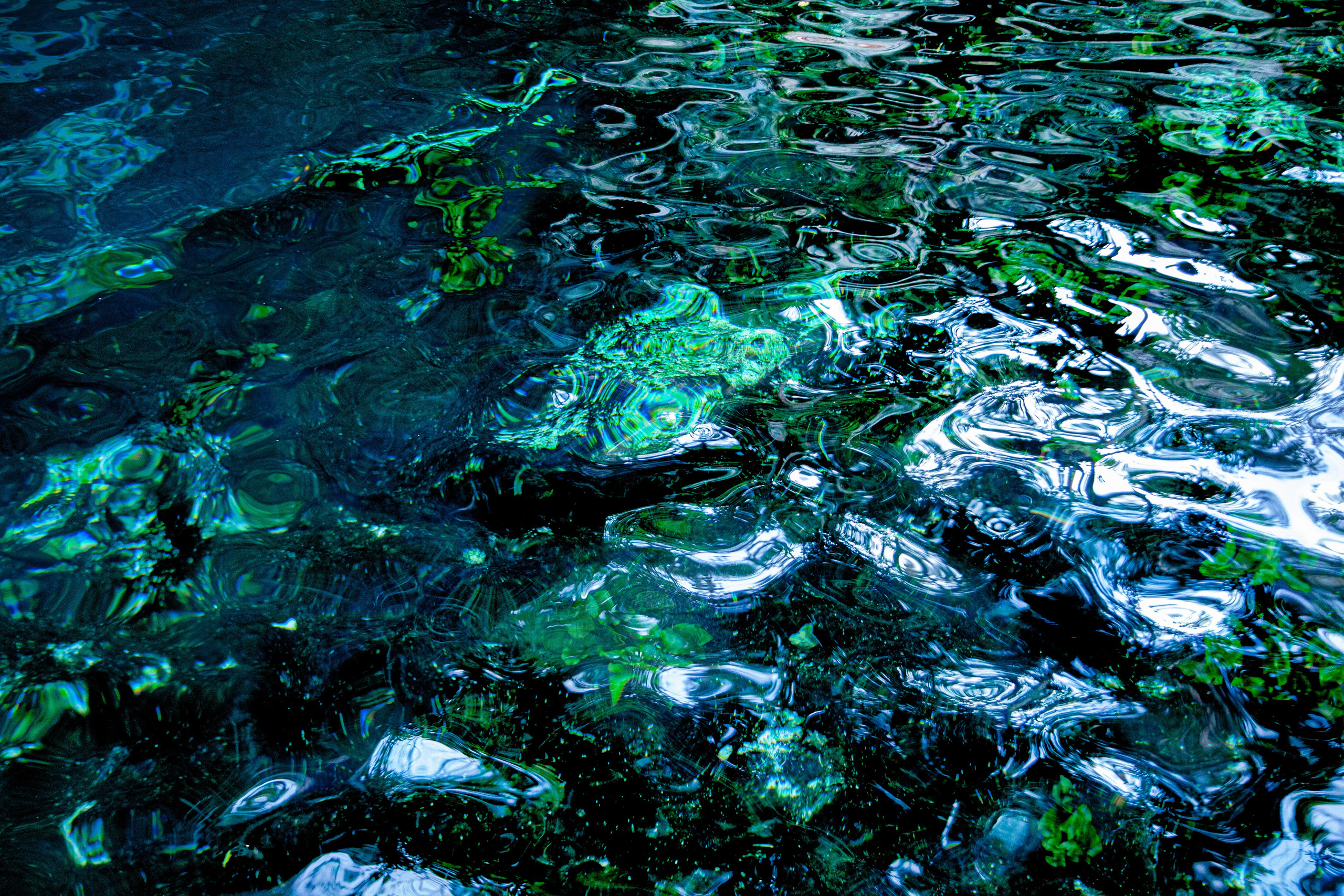 EXHIBITION. Lero Photographer and a set designer|individual custom portrait and advertising photography in Zutphen