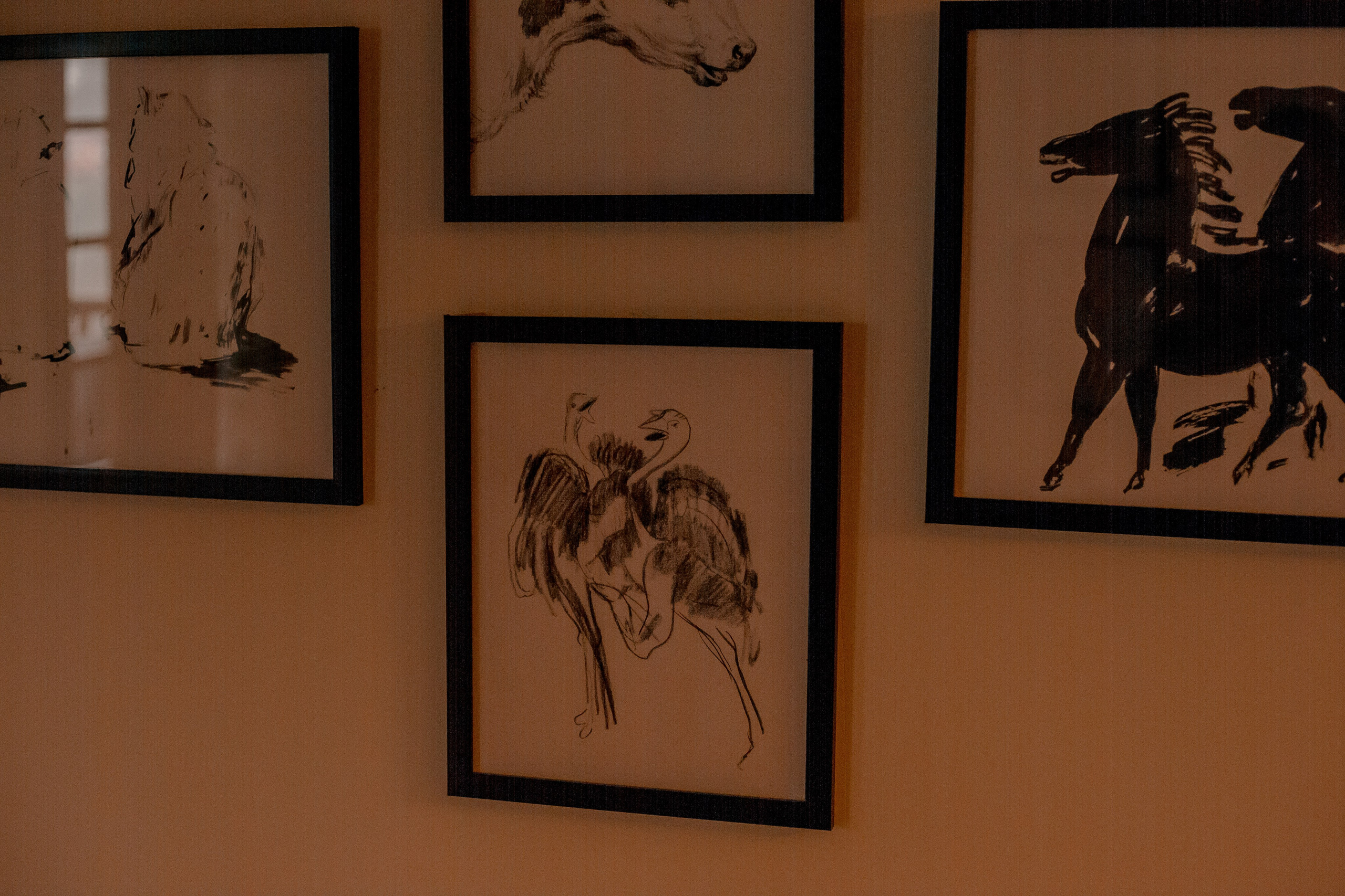 Turkey, Rize. Art Photographer