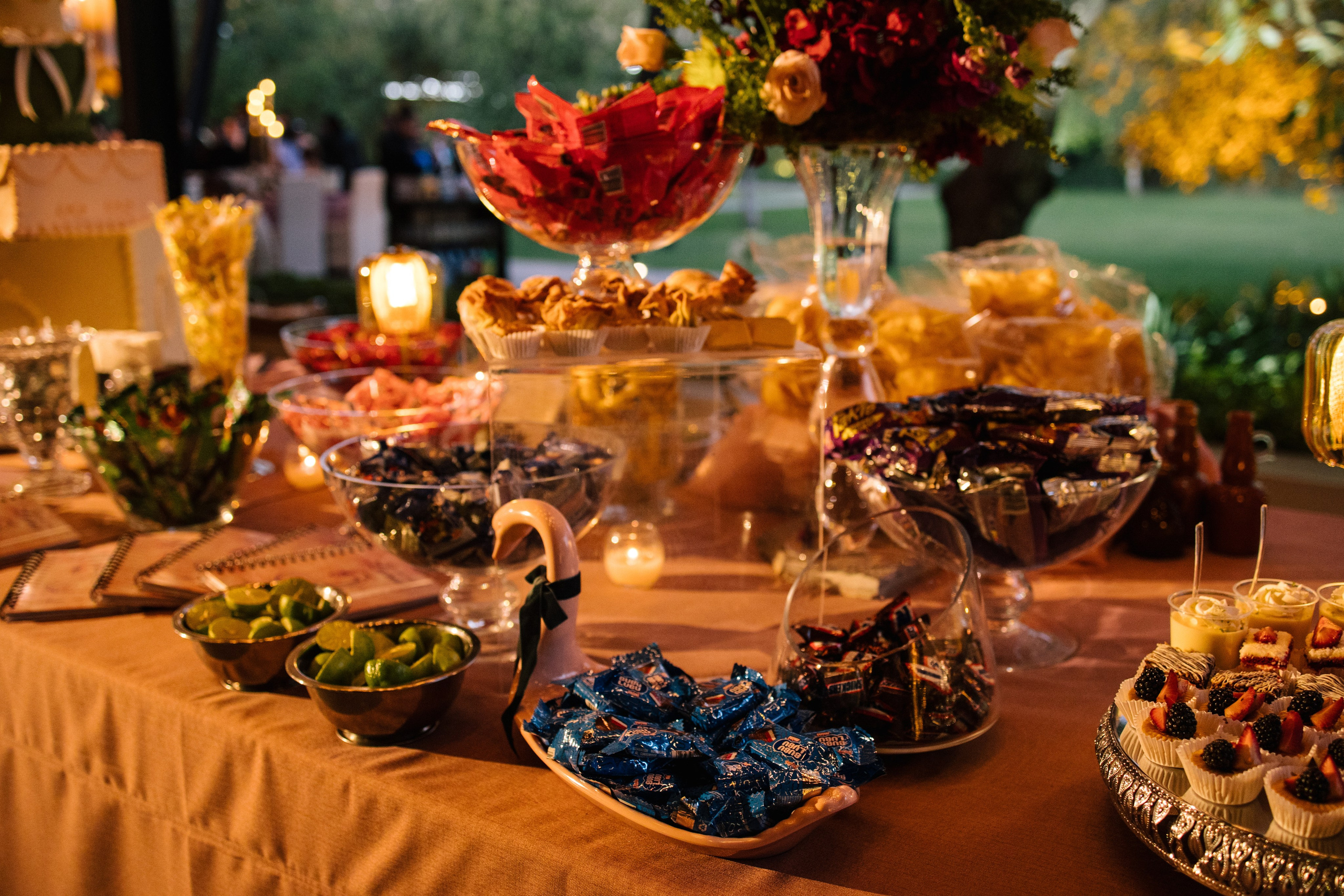 XV Luna. Wedding Photographer Ruth Preciado