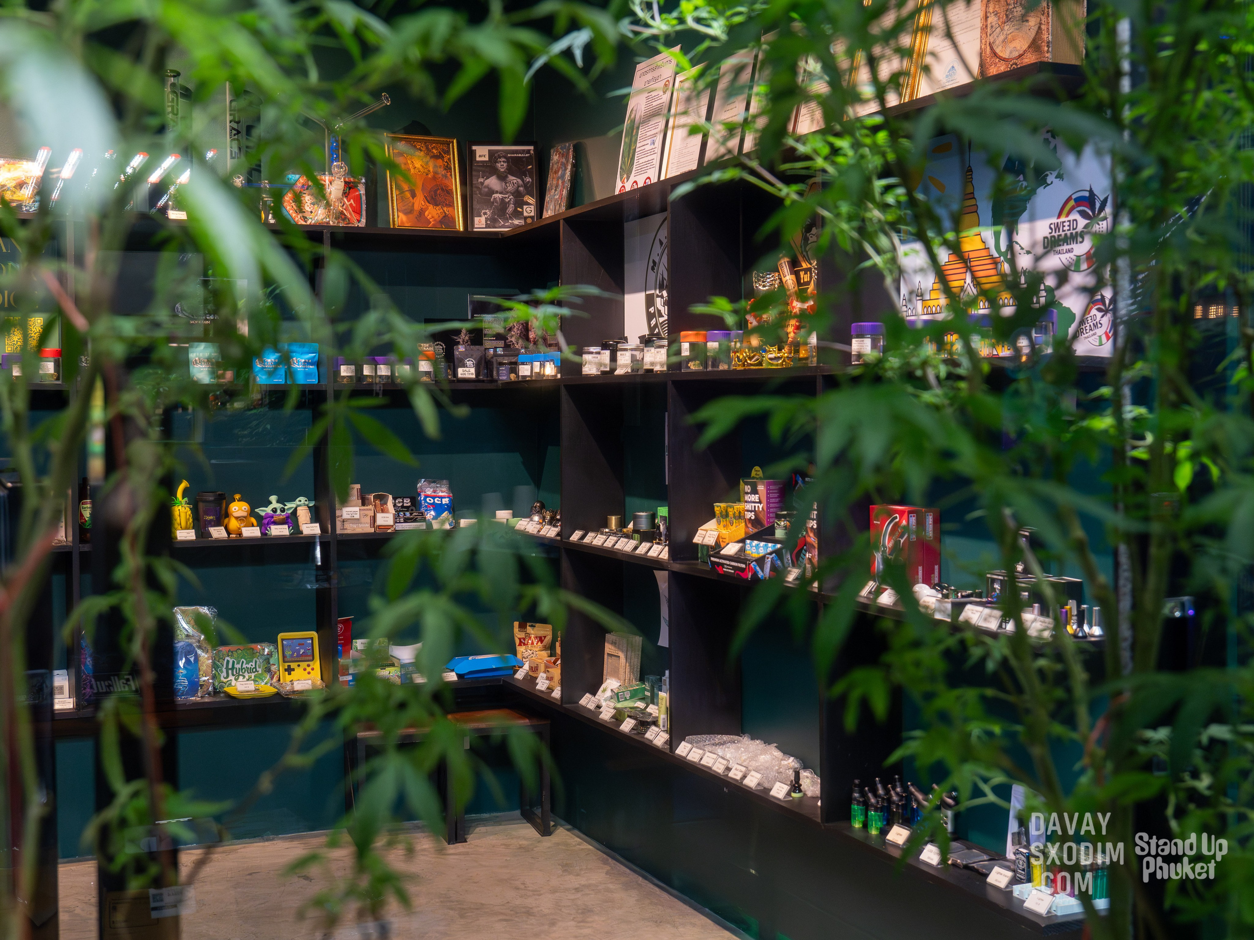 Standup-шоу «Тай-Болтай» | Фоторепортаж | Афиша | DAVAYSXODIM.com PHUKET. АФИША|ФОТОРЕПОРТАЖИ|ИВЕНТЫ|ПХУКЕТ