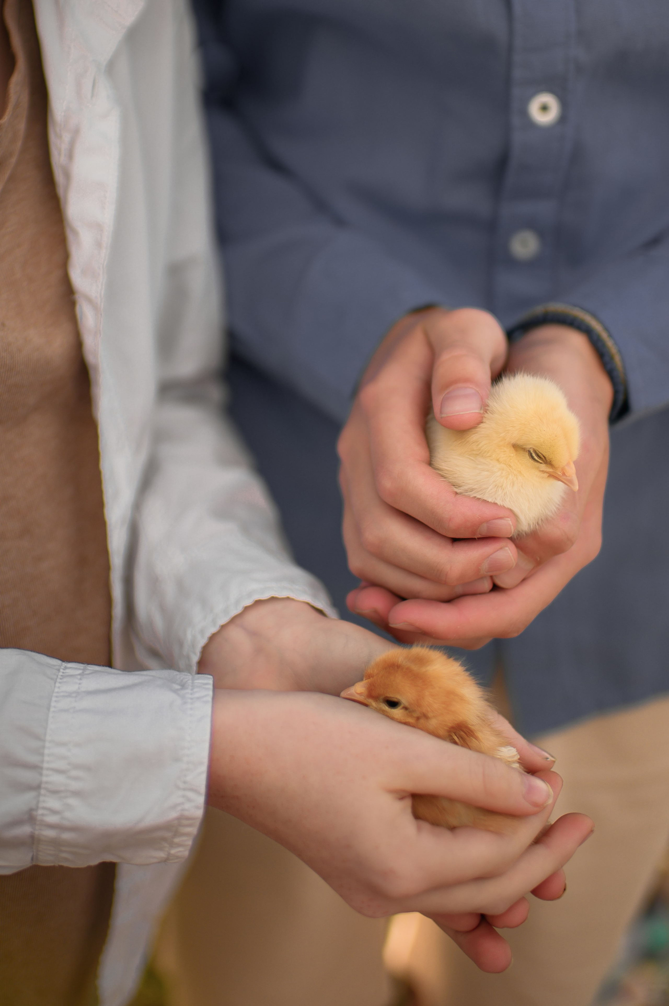 Easter. Семейная, детская, портретная и предметная фотосъемка в Салониках