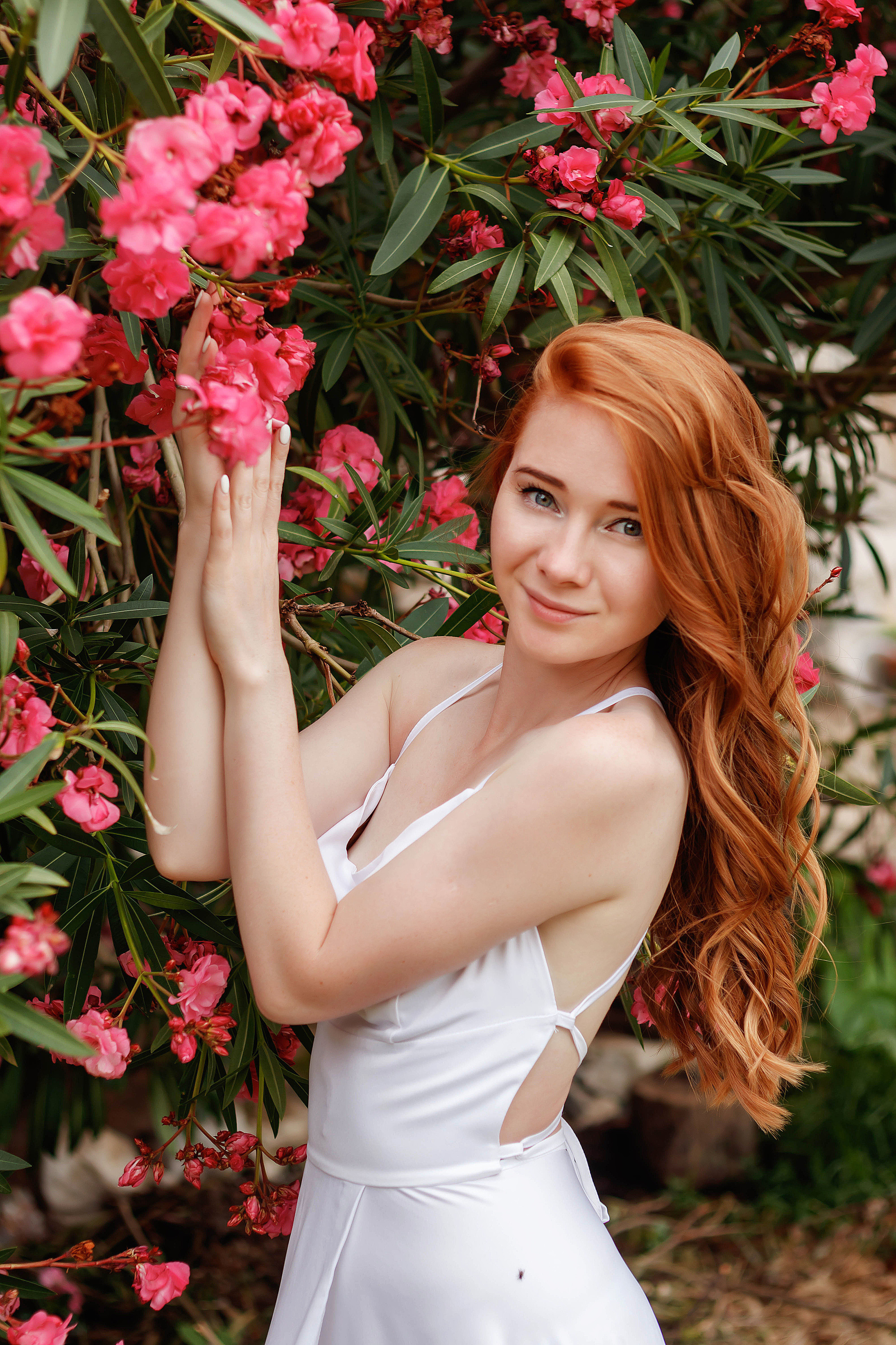 Montenegro wedding photoshootings. Photographer in Montenegro