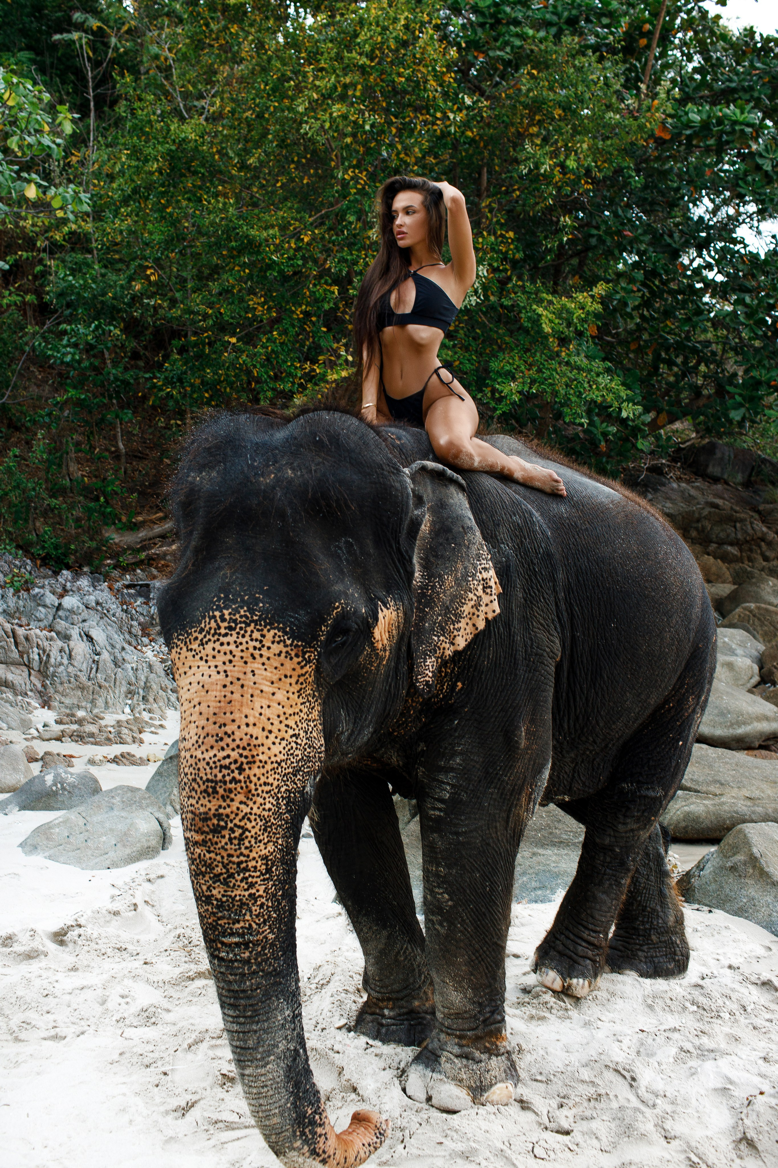 Photo with elephant. Photographer in Phuket. Photographer Thailand