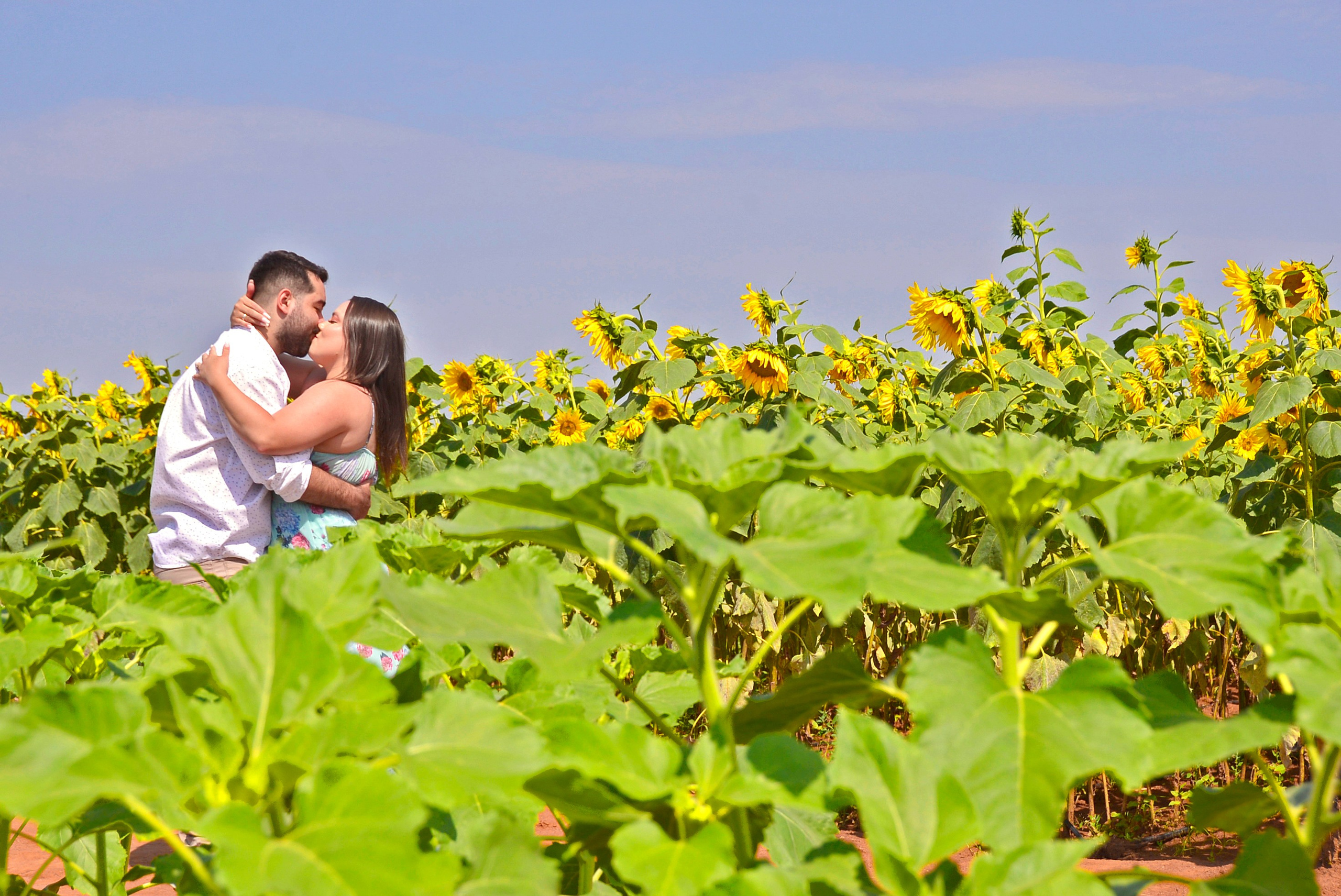 Vanessa & Victor — Campo Macena, Holambra. Produtora Bride