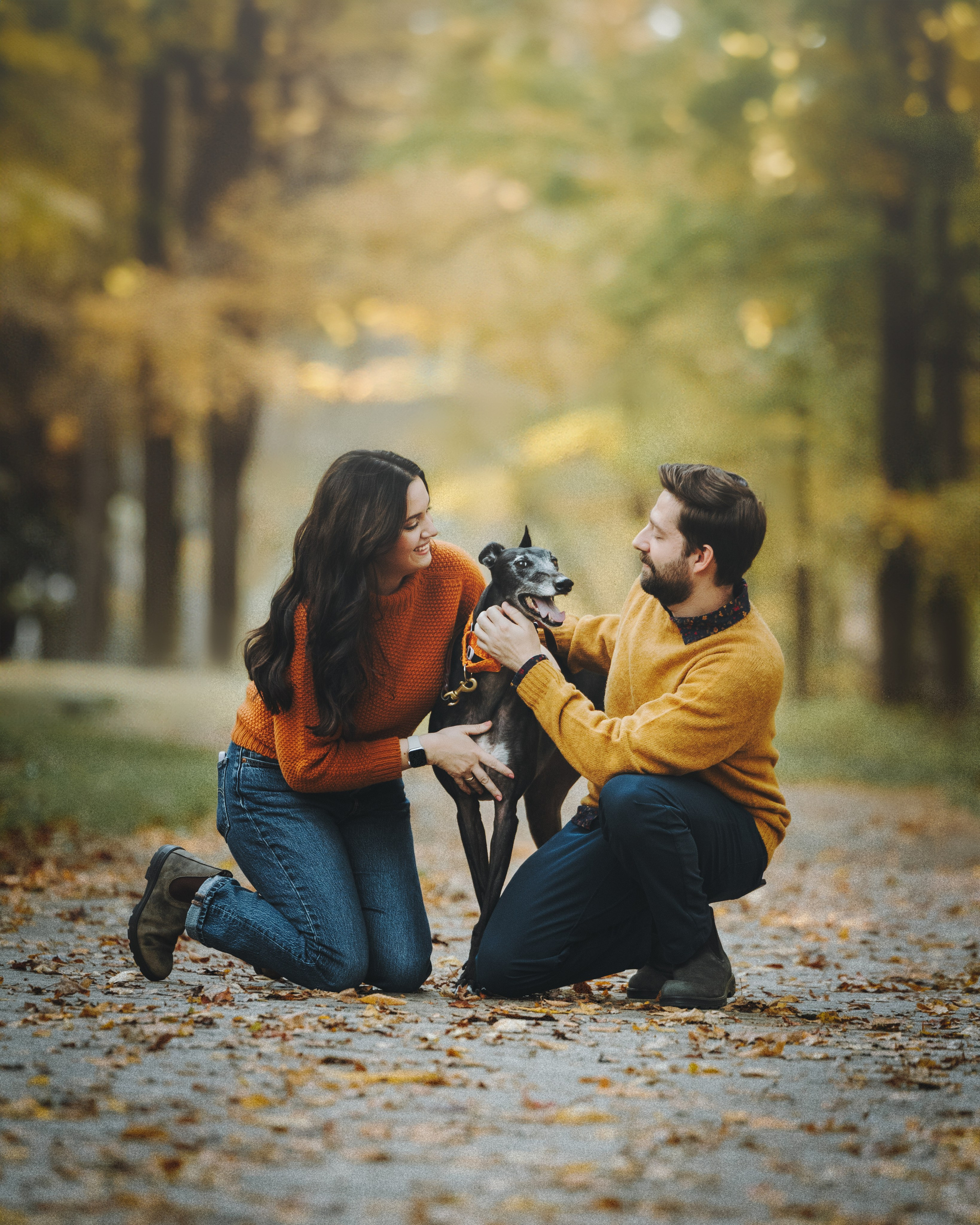 Tilly, Kati & Landon. Pet Photographer Viktoriya Aleshenko
