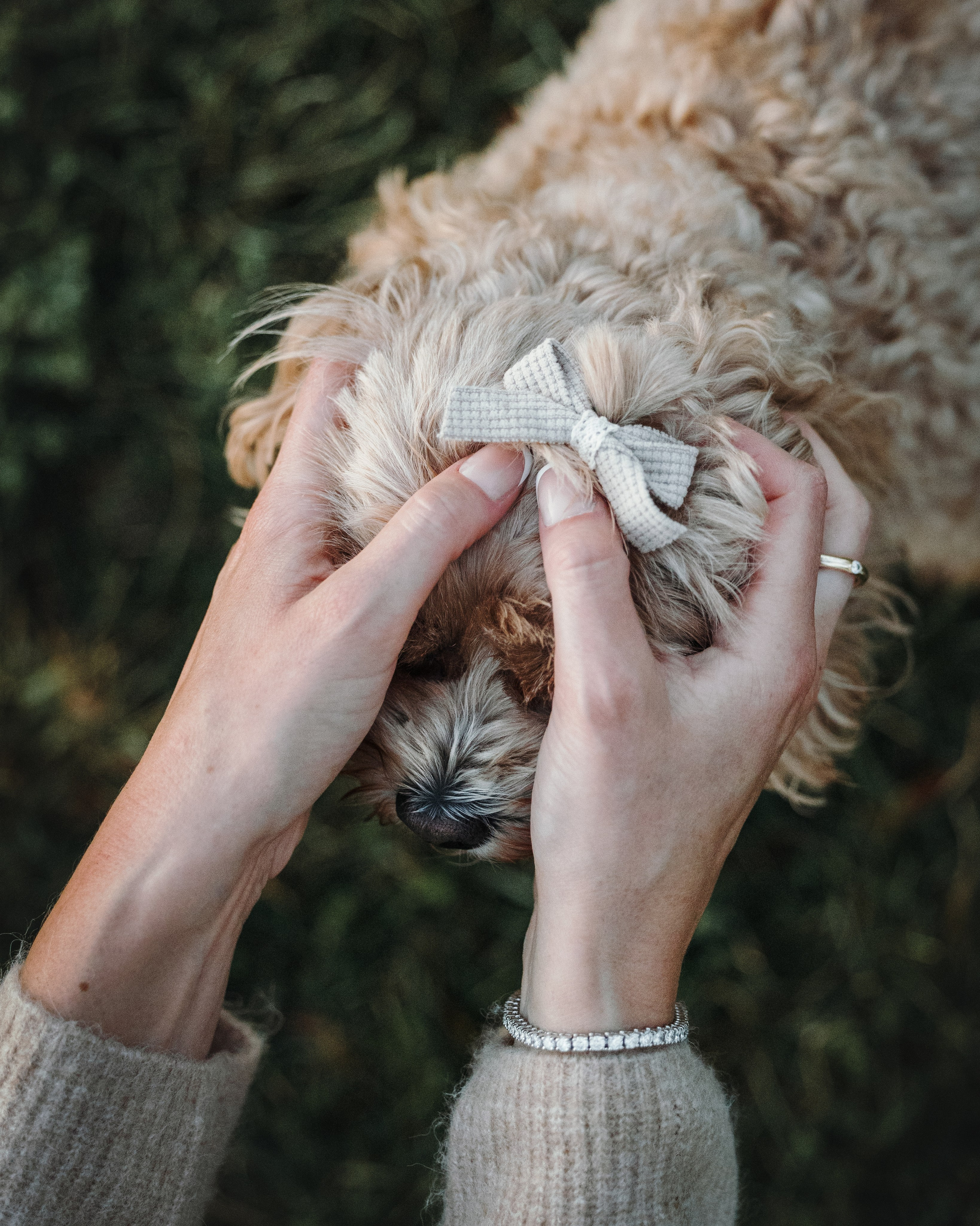 Sunny & Elizabeth. Pet Photographer Viktoriya Aleshenko