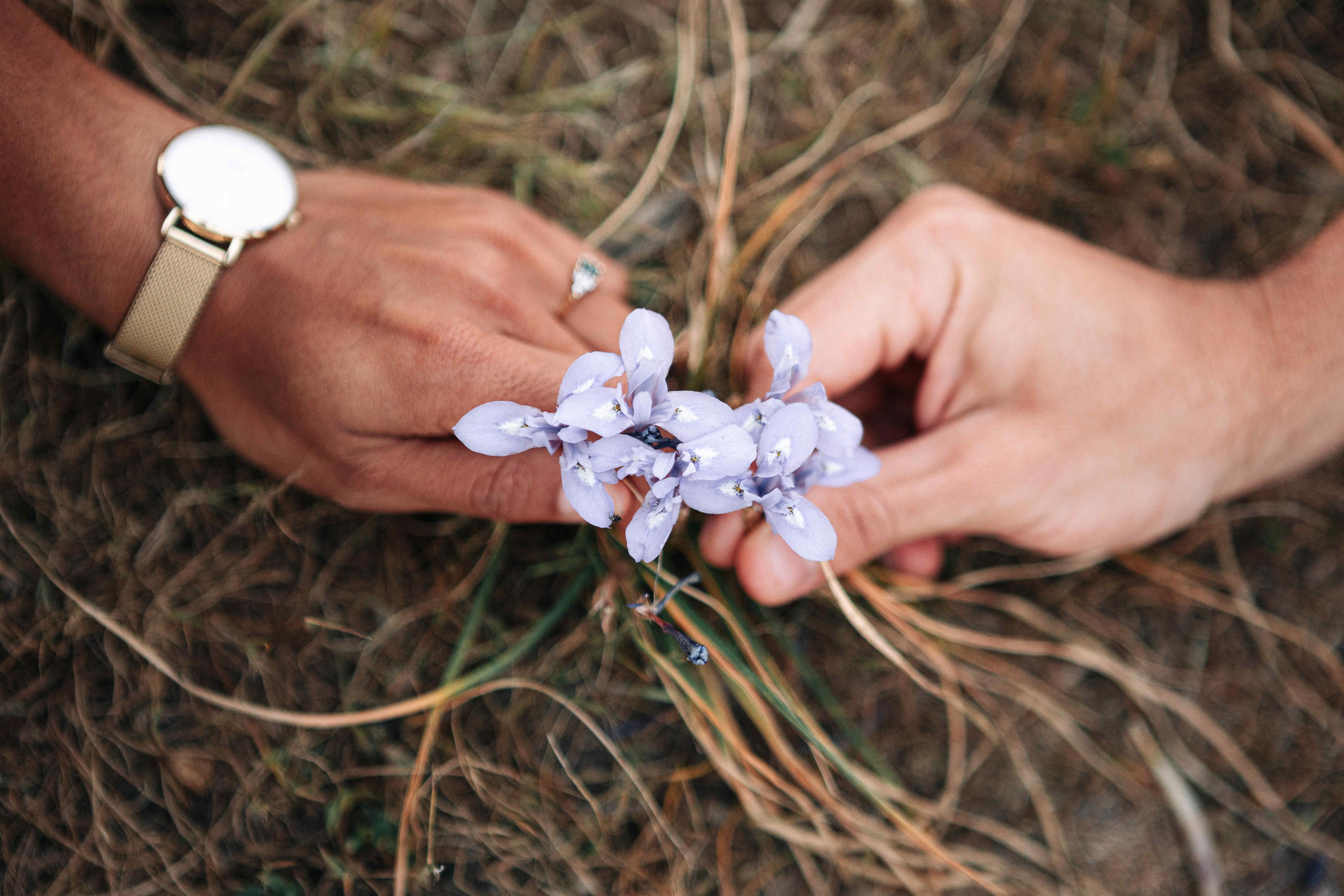 YOU ARE THE WHOLE WORLD TO ME. Https://shi-photo.com/