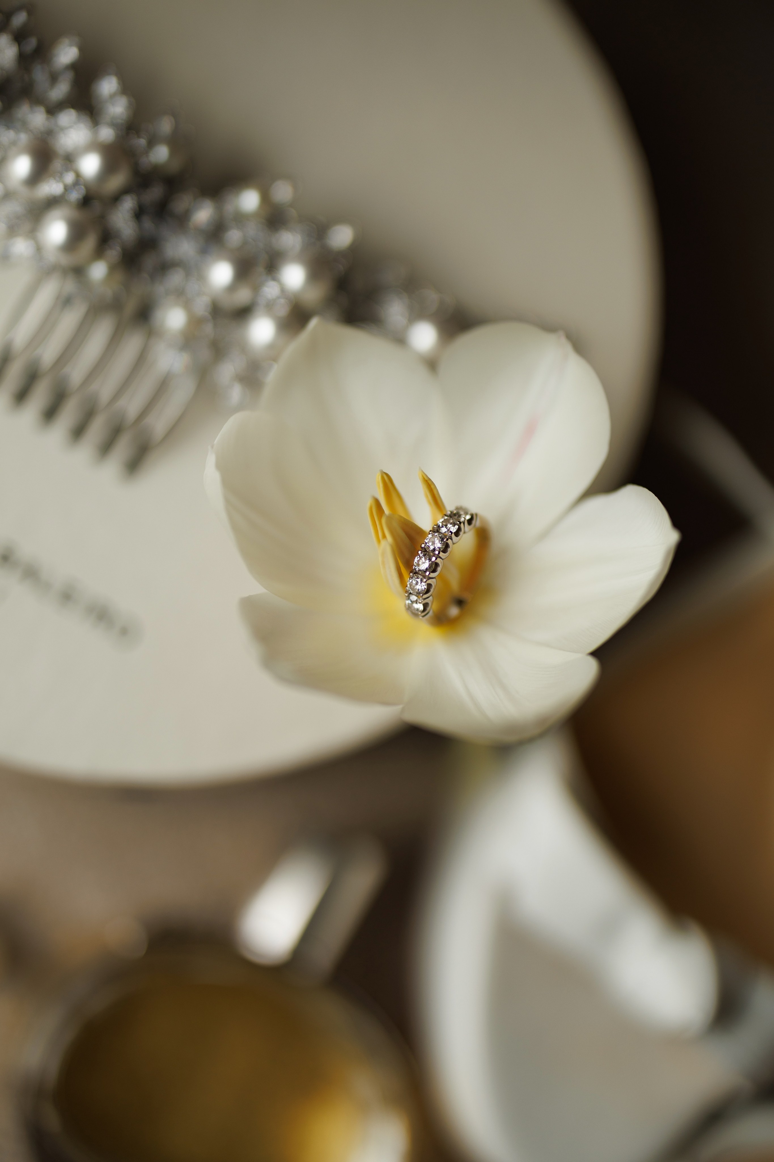 Casamentos. Fotógrafo de casamentos no Brasil | Base no Paraná, disponível em todo o Brasil e no exterior