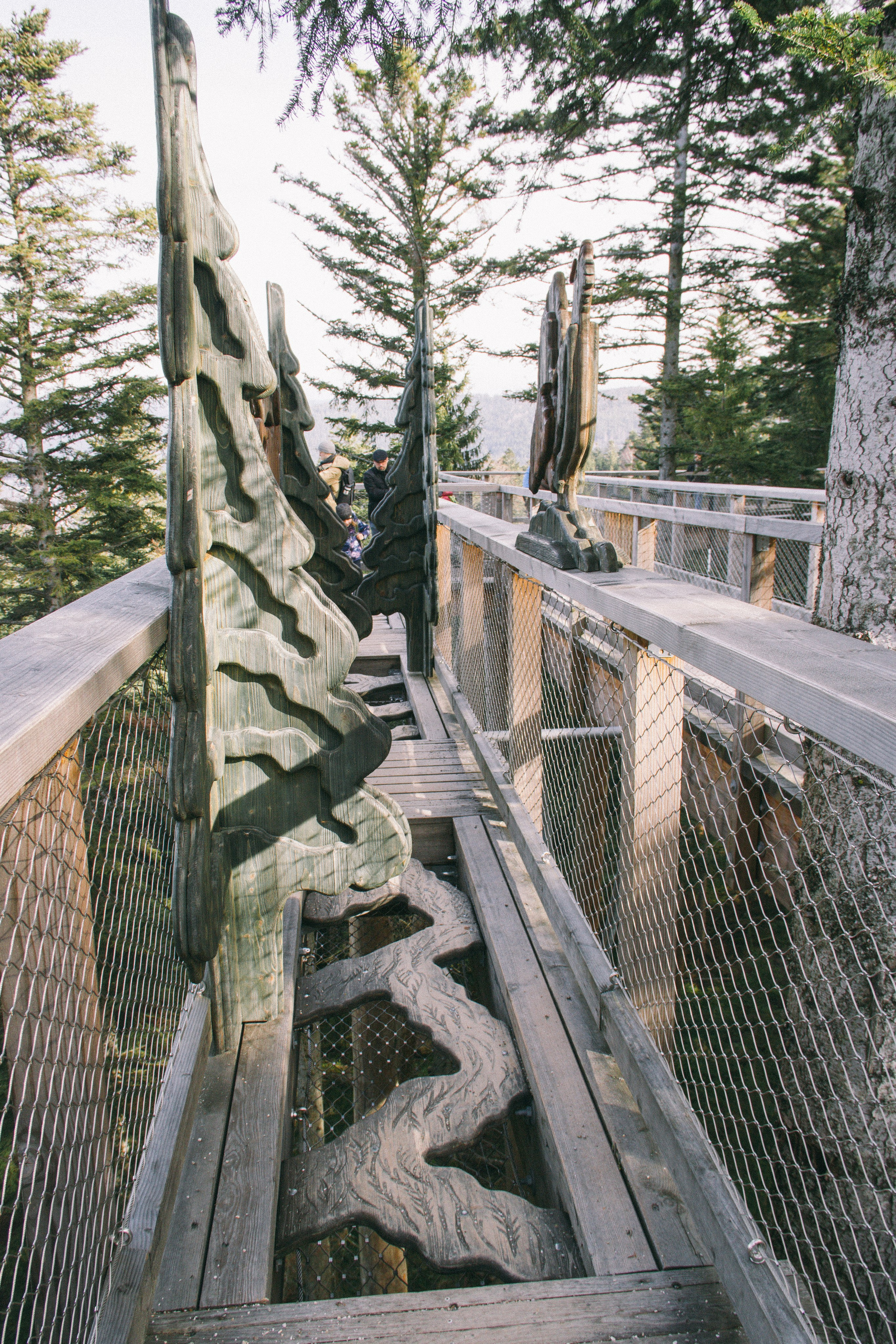 Baumwipfelpfad in Bad Wildbad. Maria Chistyakovа — Fotografin in Karlsruhe, Baden-Baden und Umgebung