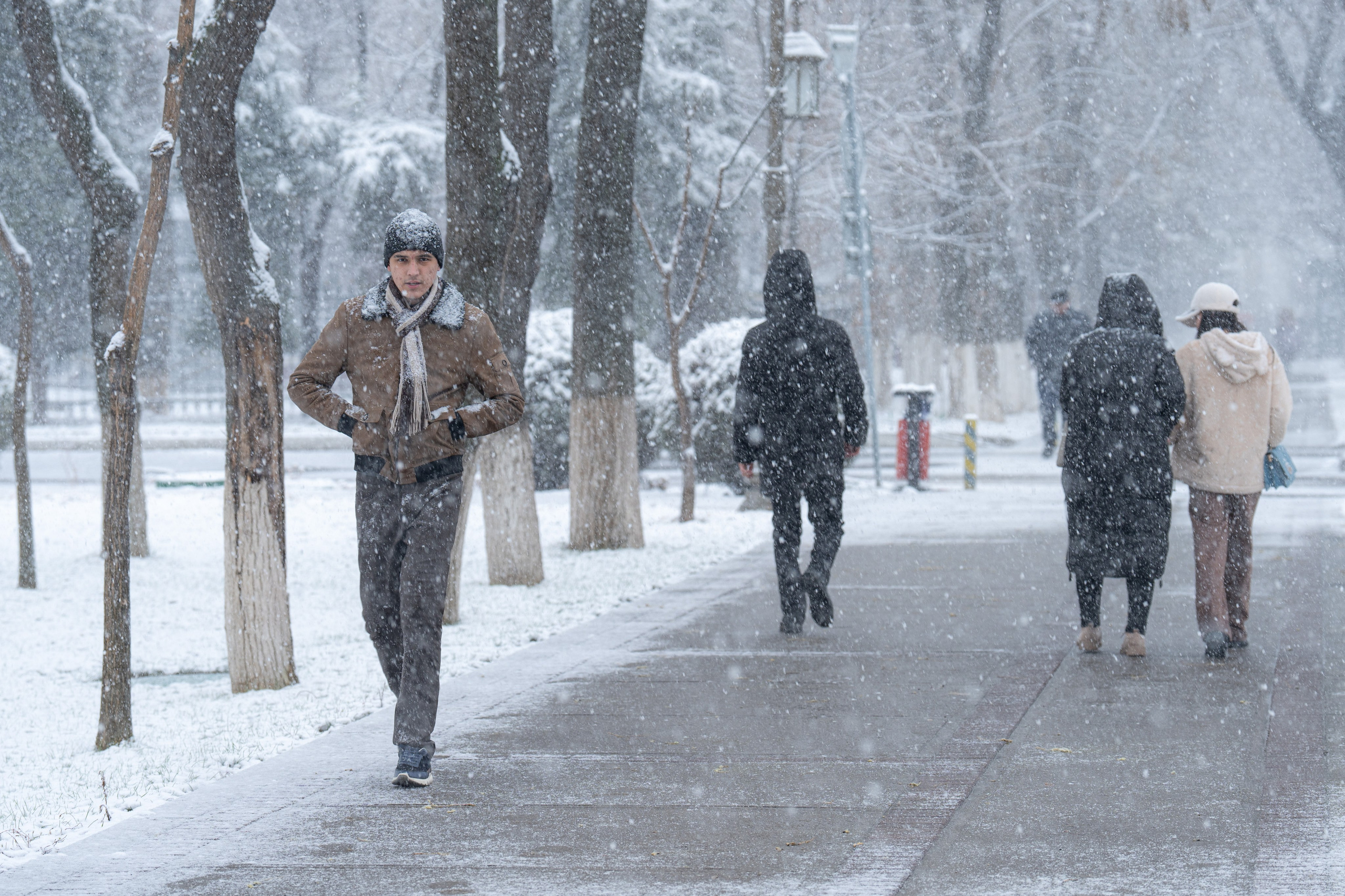 Первый снег в 2024 году. Георгий Намазов | Фотограф в Ташкенте