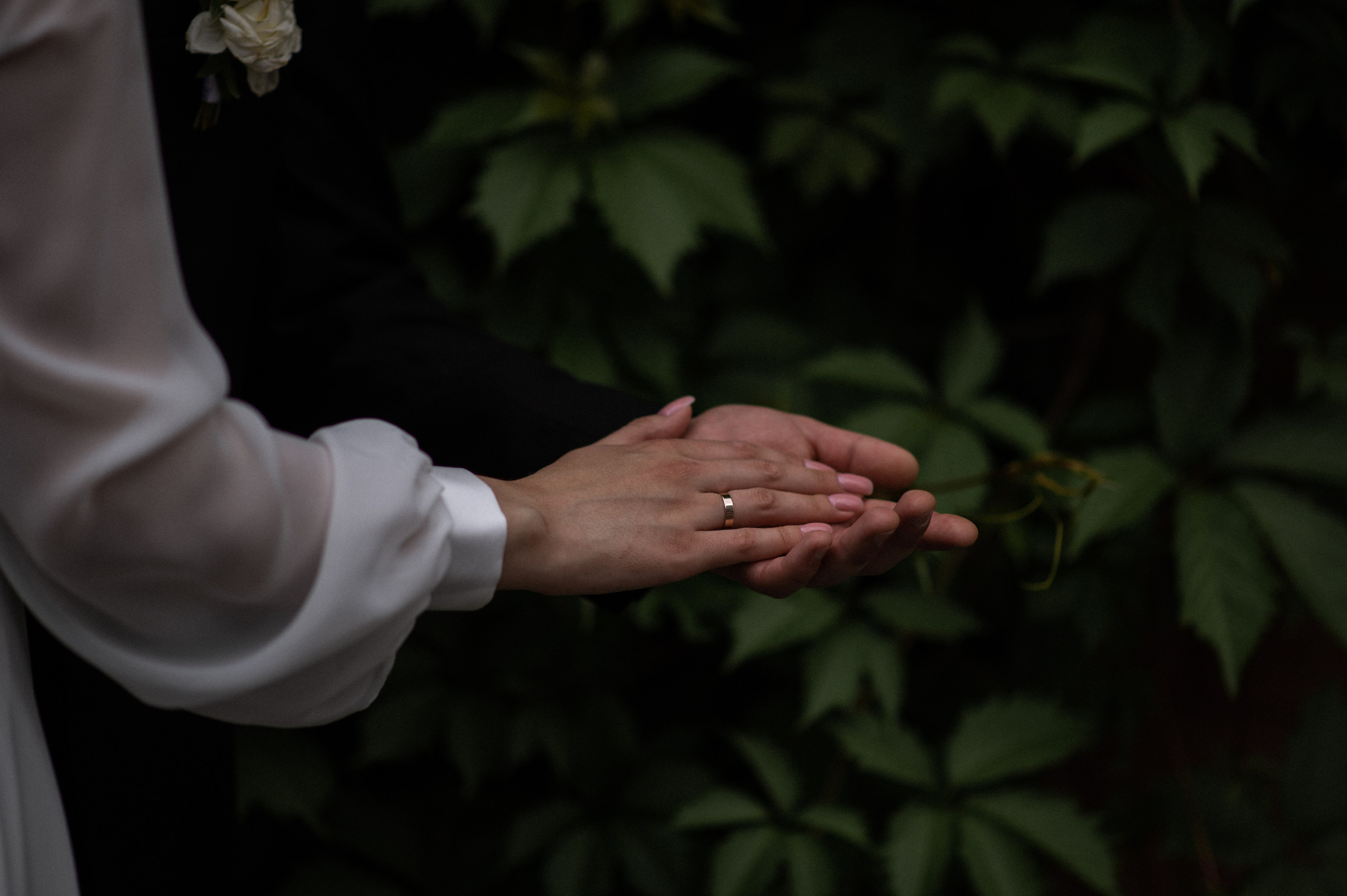 Smile. Wedding and commercial photographer