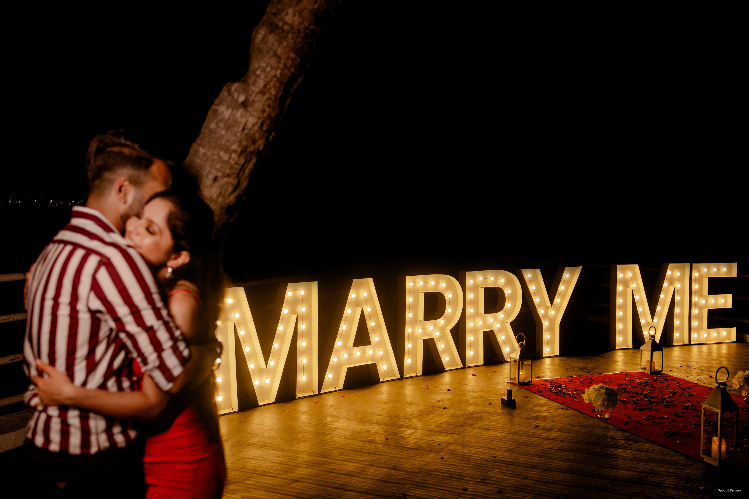 Purva & Tarun | Proposal