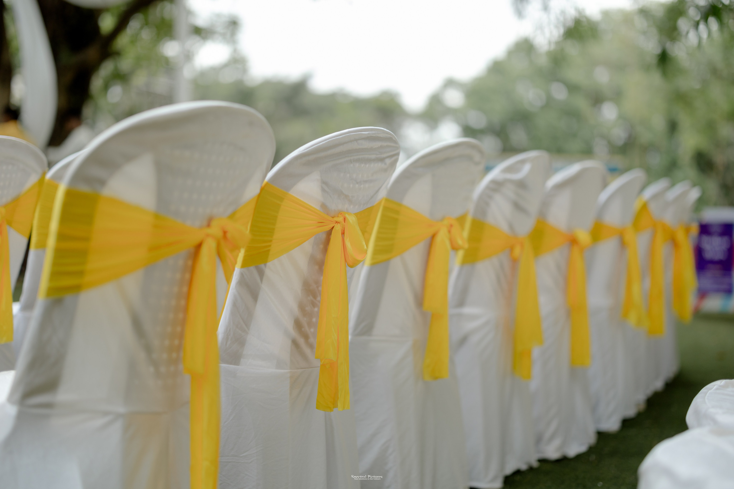 “Bob’s Bar to The Big Day — Starring Amulya & Aditya”