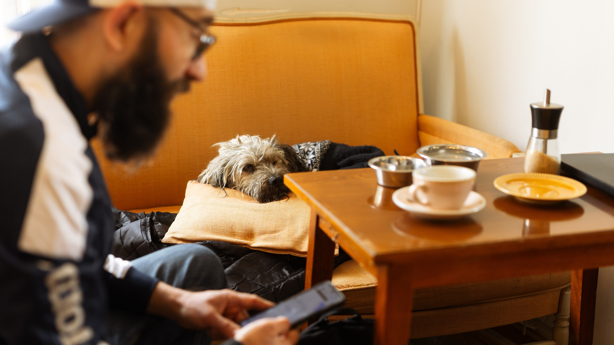 Taste Busters 3. Marius Ciocan