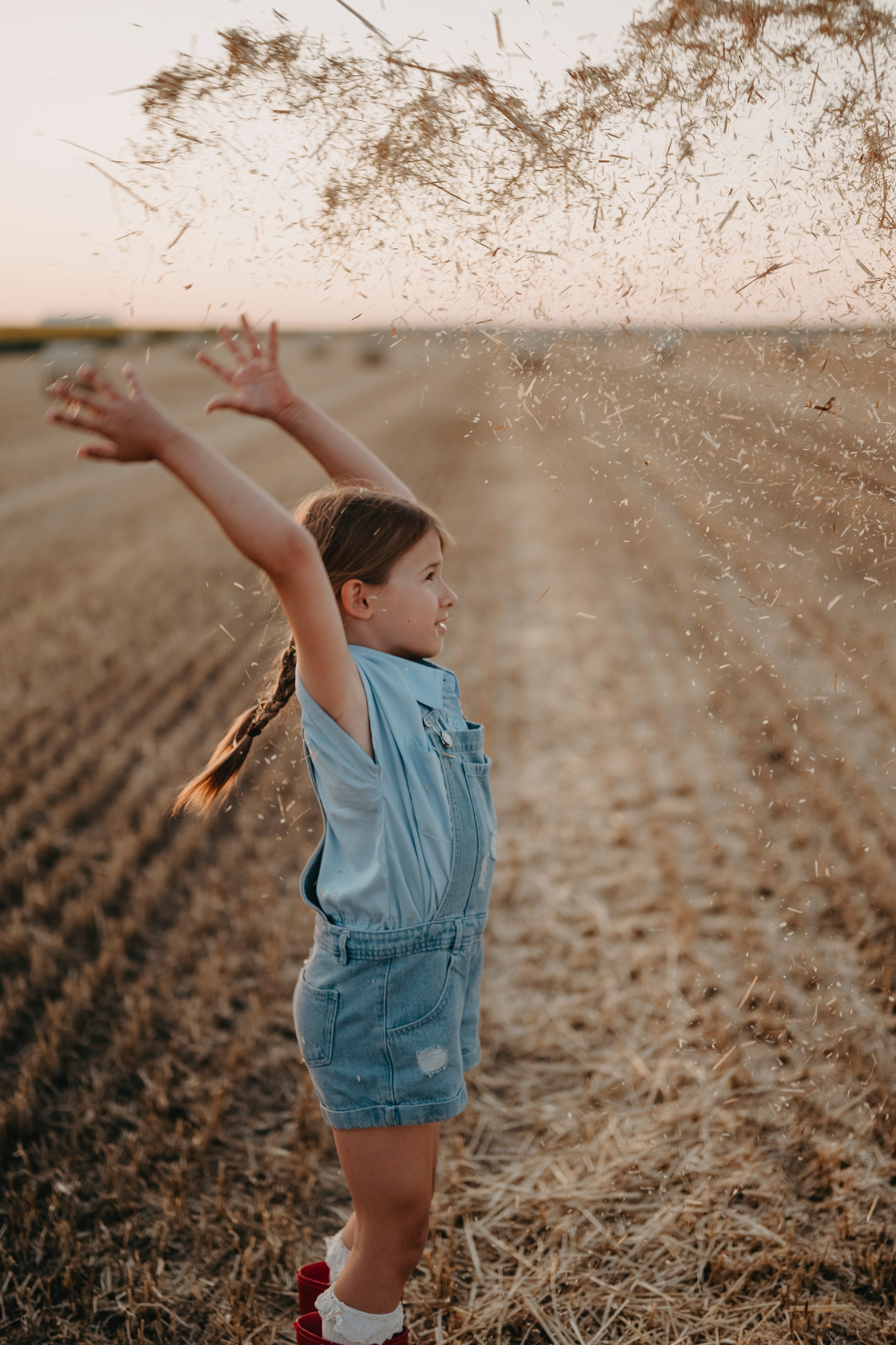 Letnje fotografisanje u polju suncokreta i sena. Deciji i porodicni fotograf u Beogradu Oksana Skendzic