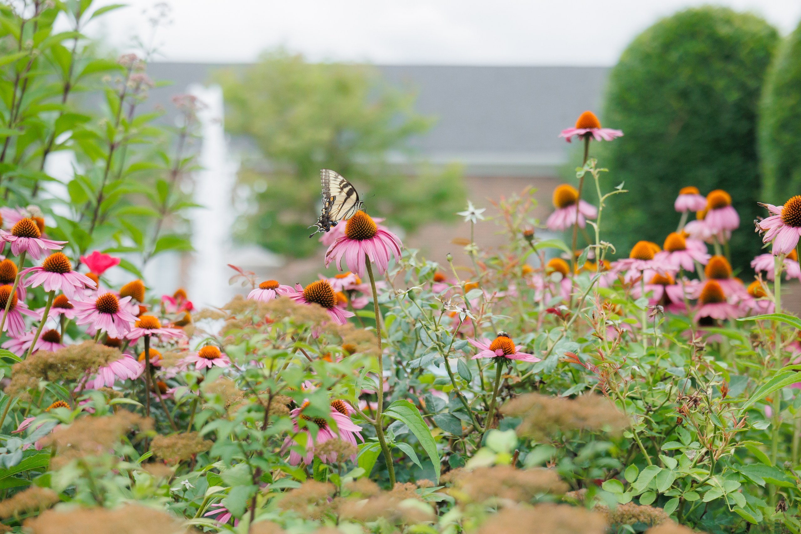 Shannon and Thomas, The Rockleigh. Wedding Photo & Video