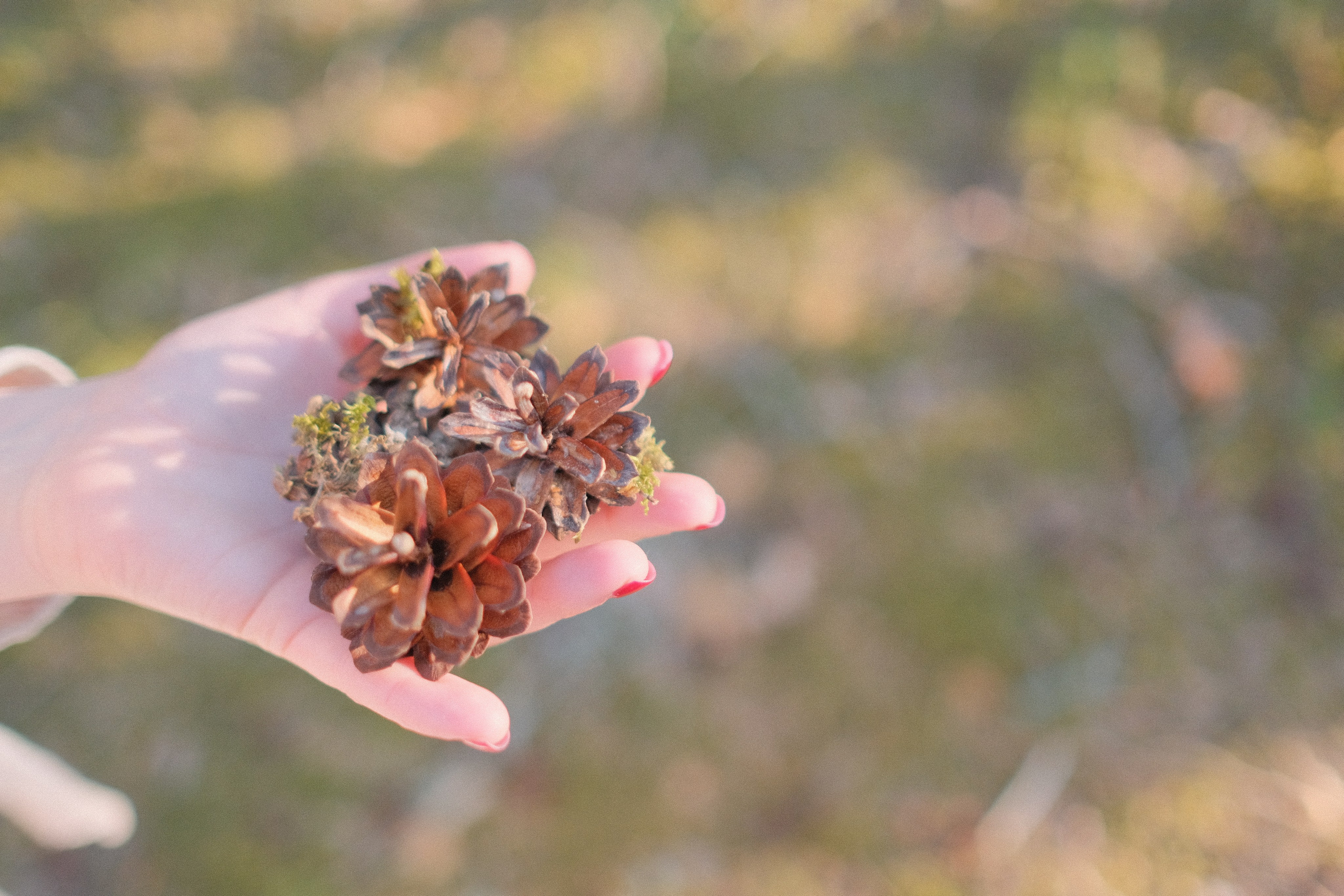 A+A. Kāzu fotogrāfs Rīgā — Vjačeslavs Lučņenkovs