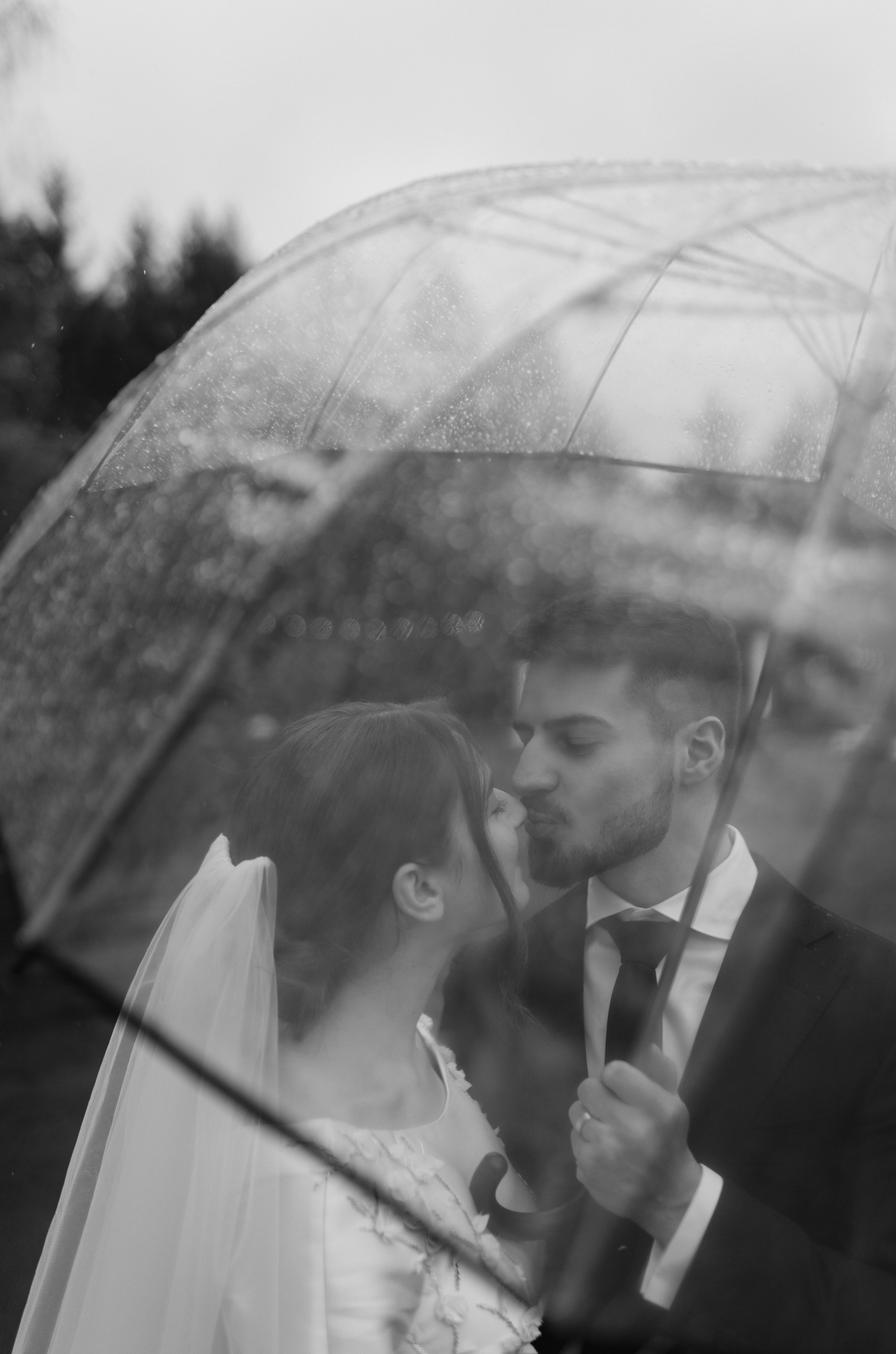 Wedding stories. Wedding Photographer Ksenia Kalytych |Vancouver, WA | available for travel |