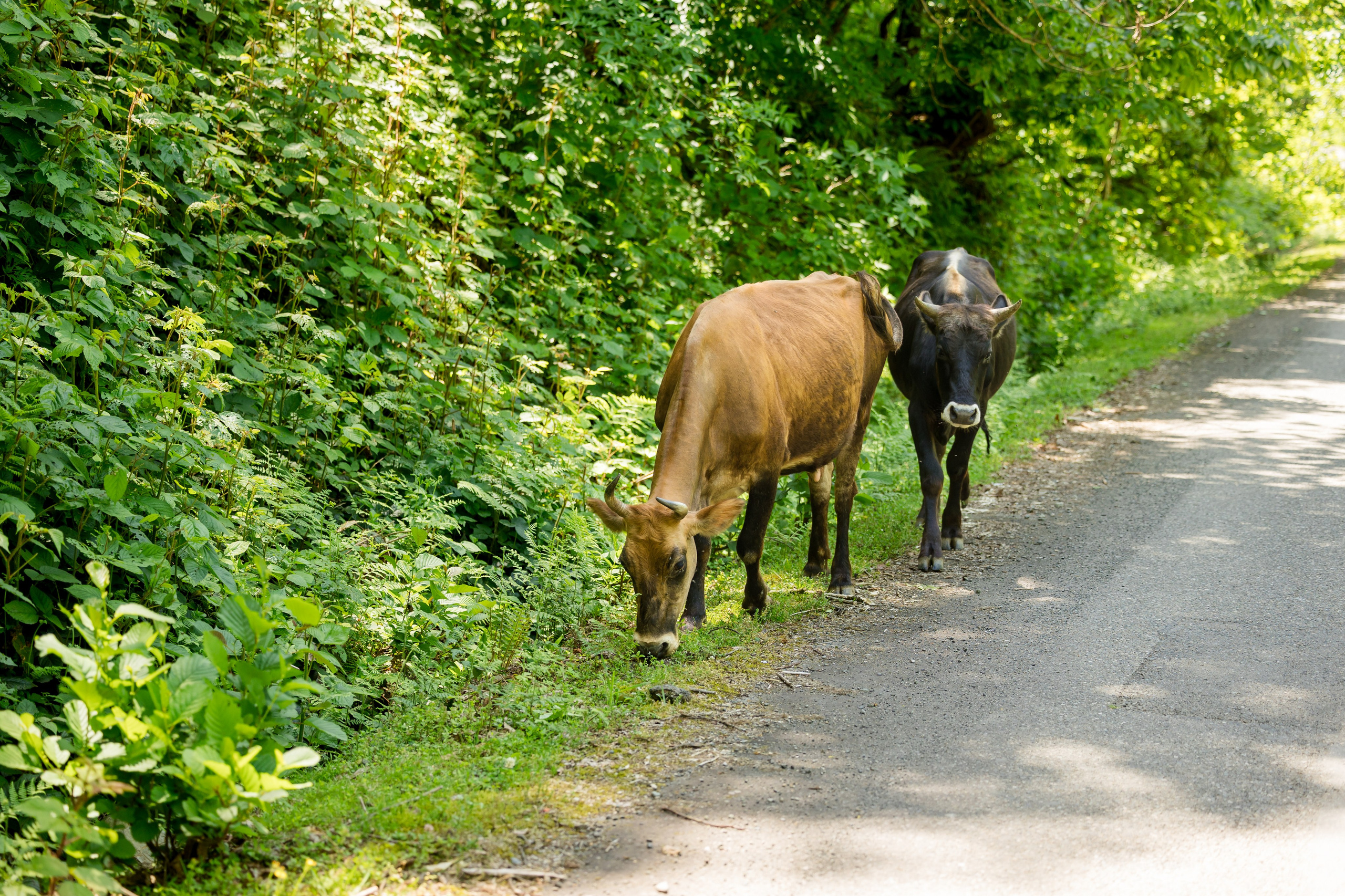 Barel Corporation — Batumi Georgia. AMIR BUCHNIK PHOTOGRAPHER