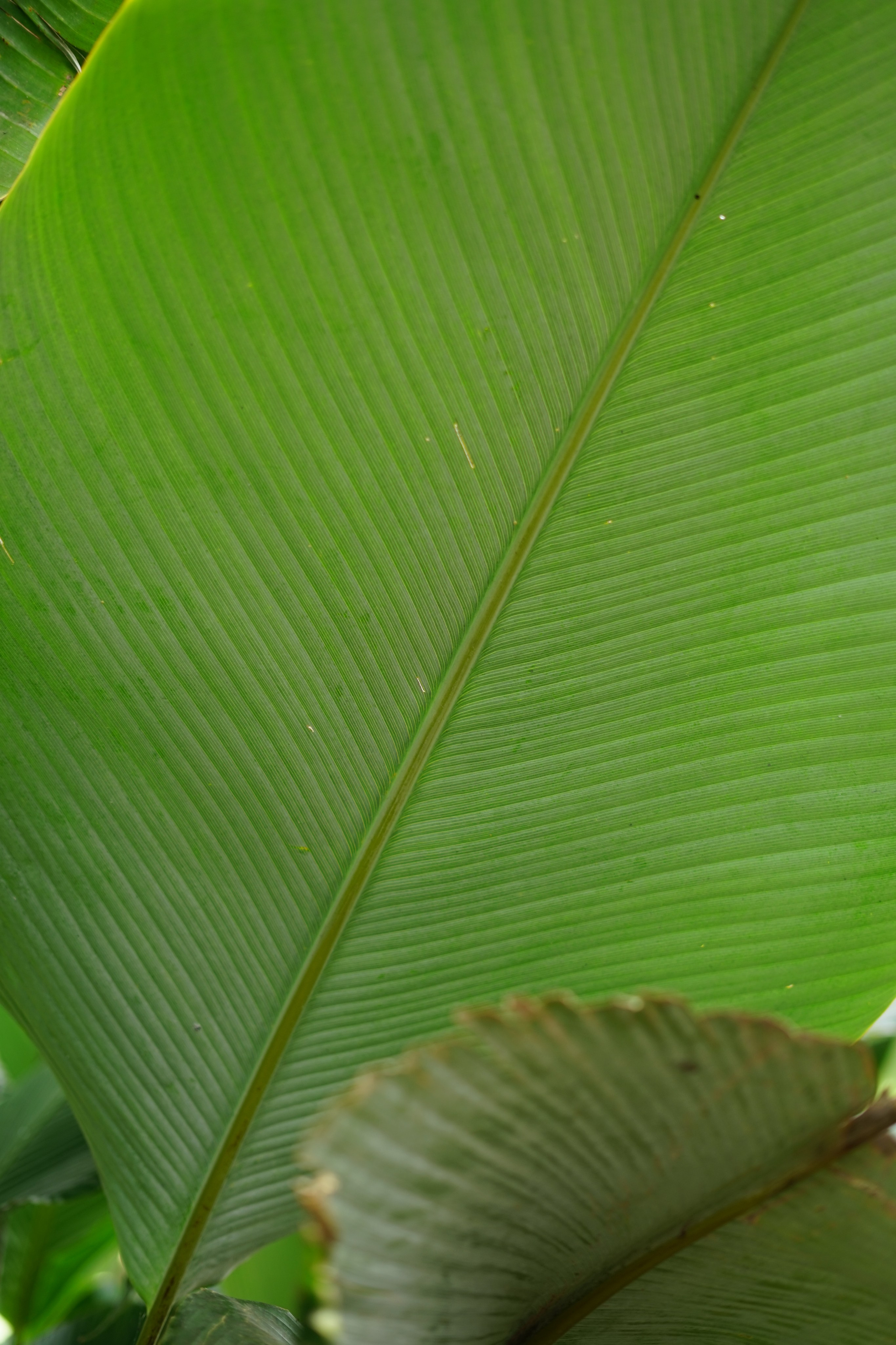 Bali. Hotel and travel photographer