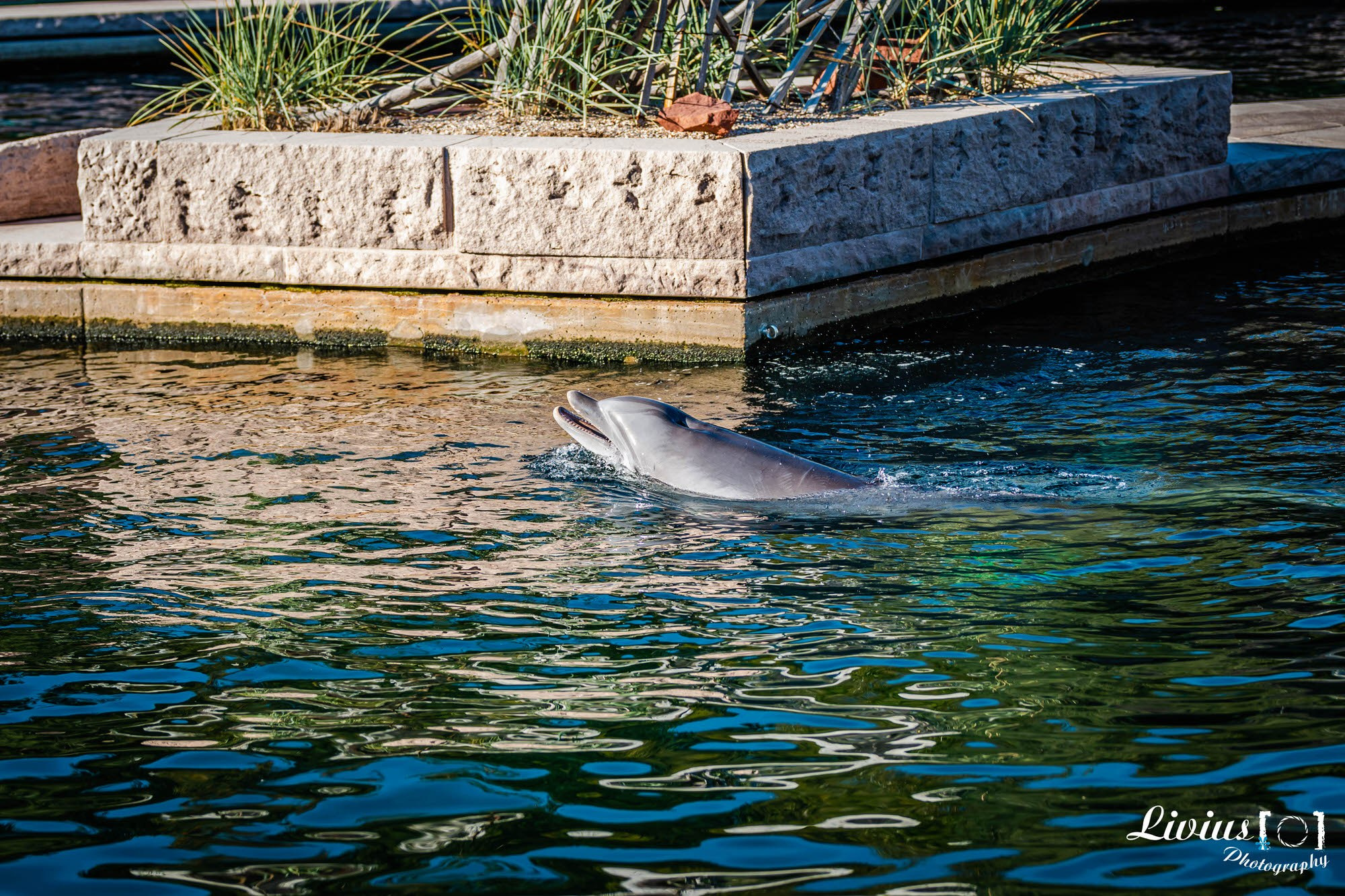 Tierpark Nürnberg. FOTO KREATIV