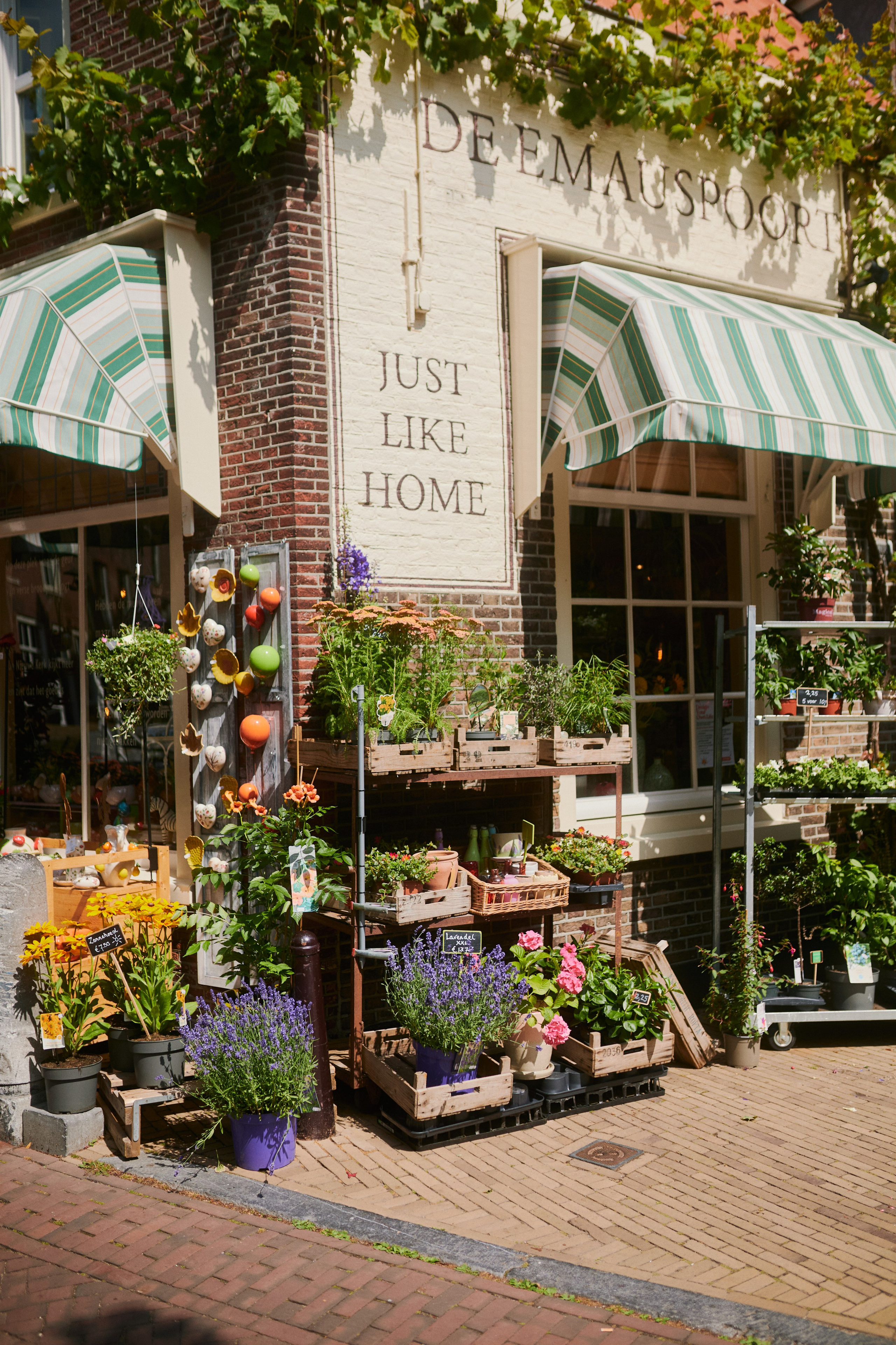 Street. Personal, fashion, business Photographer in Netherlands