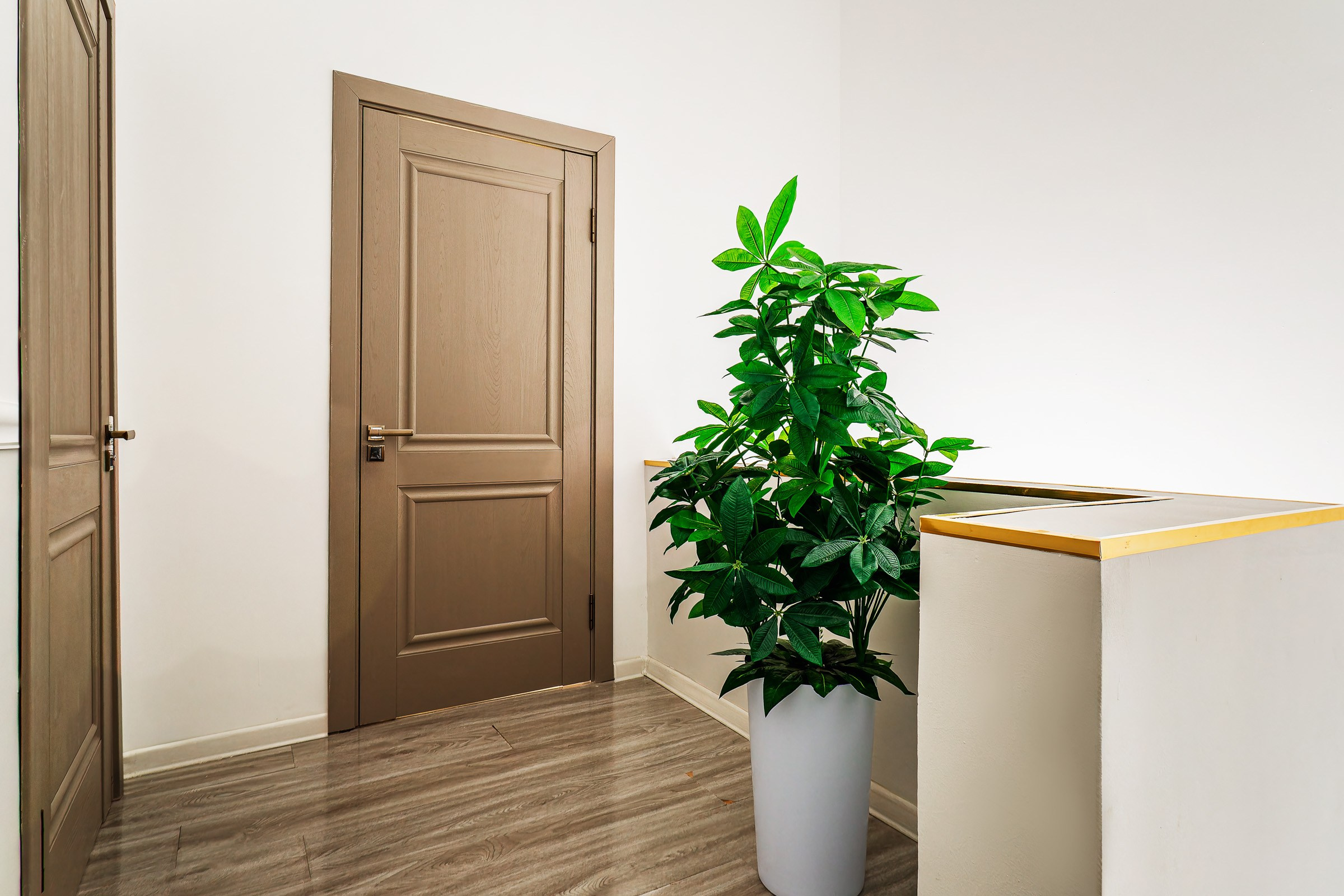 Аренда апартаментов в Ташкенте, Узбекистан — посуточно. Аренда апартаментов Ташкент Узбекистан